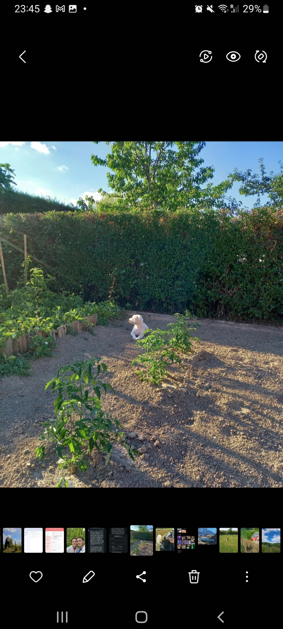 image-16