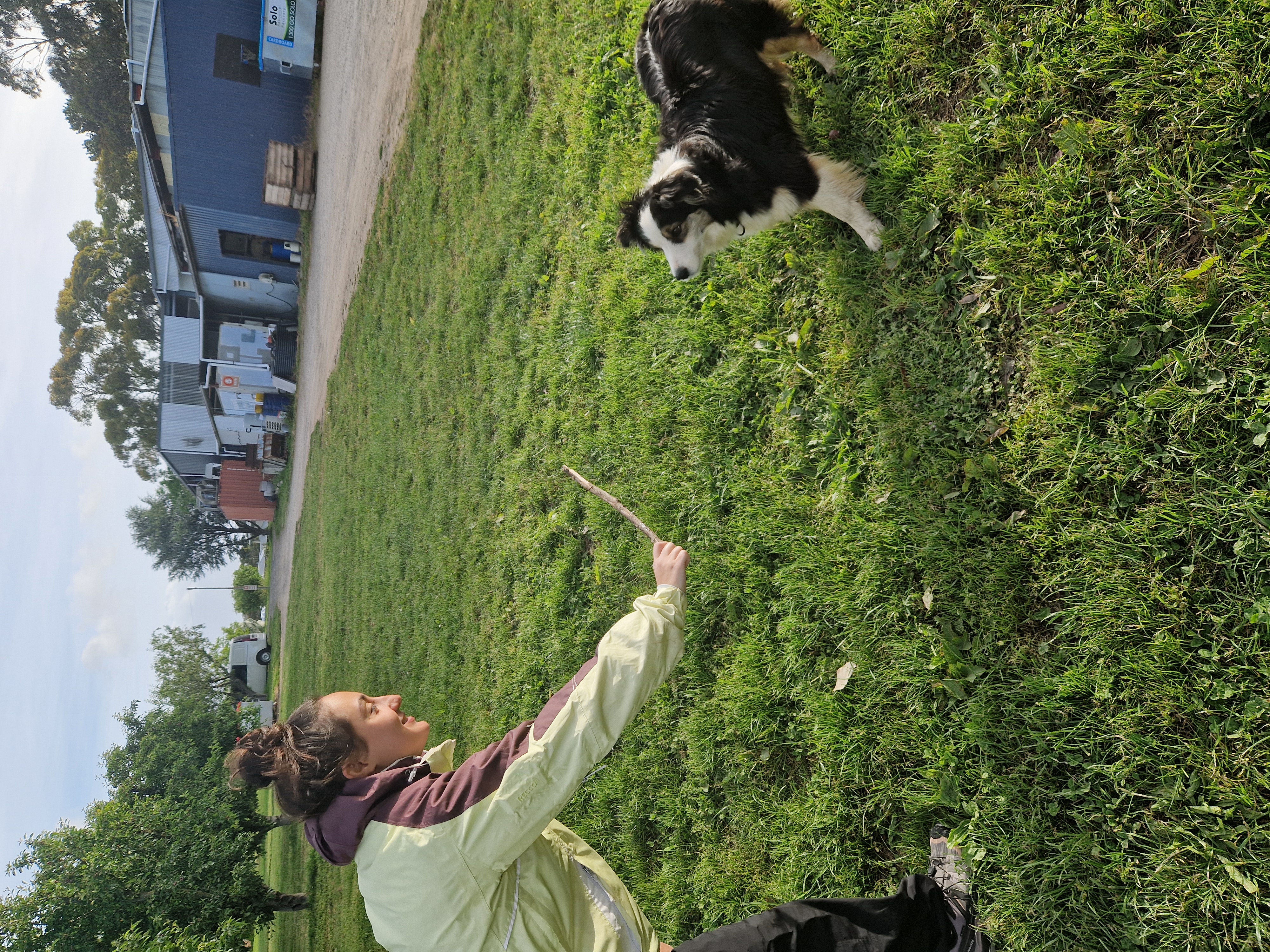 image-9
