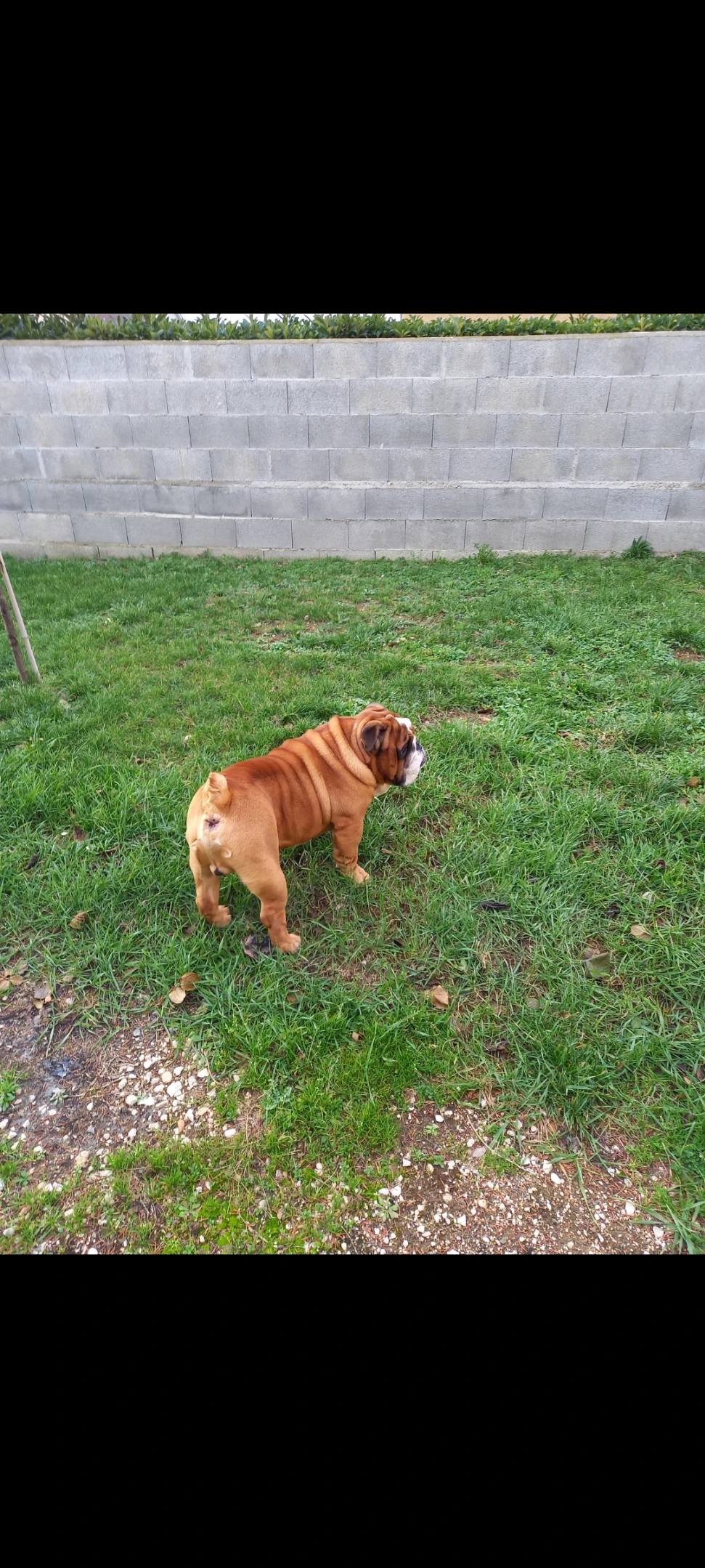 image-6