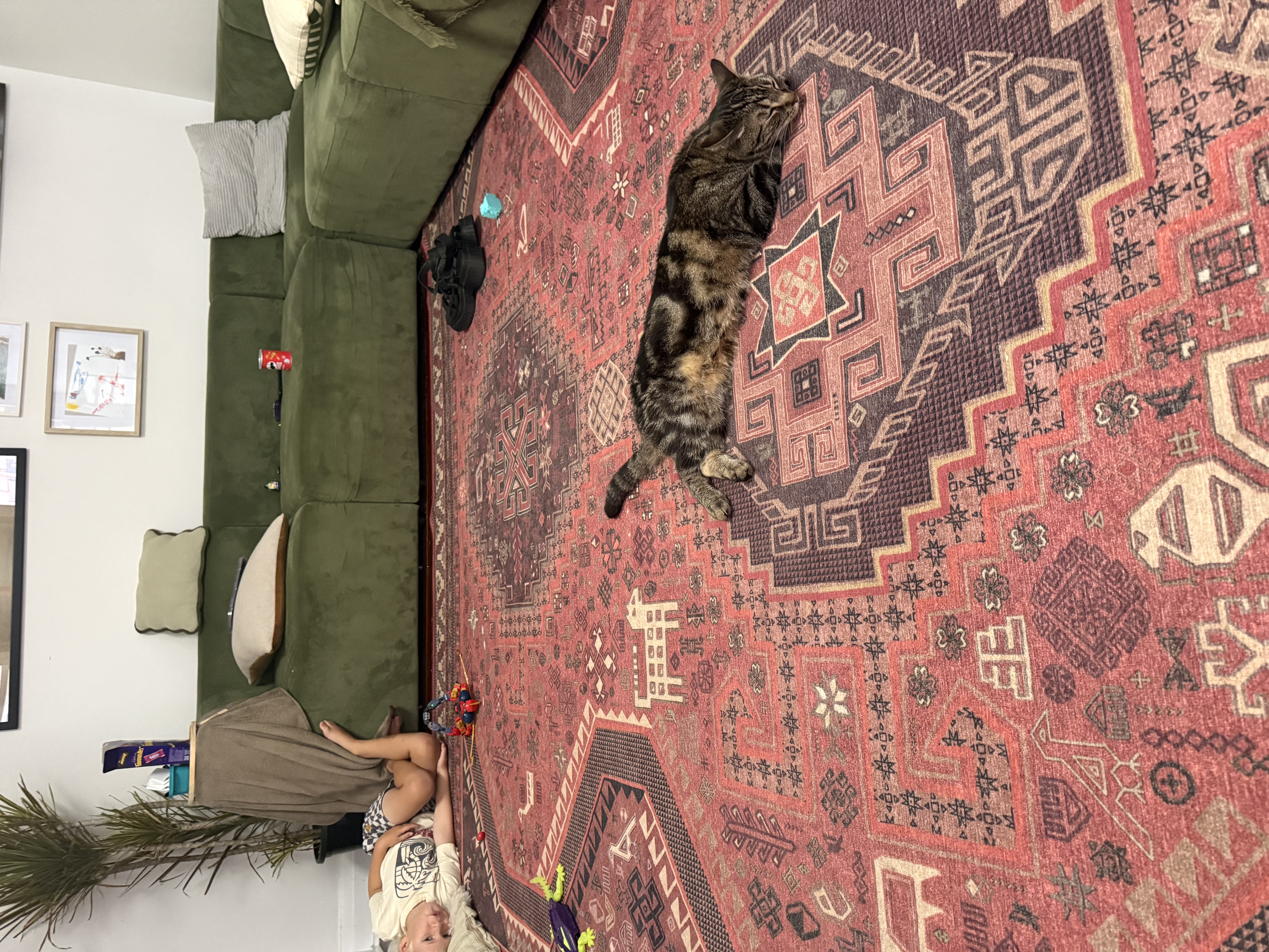 image-10
