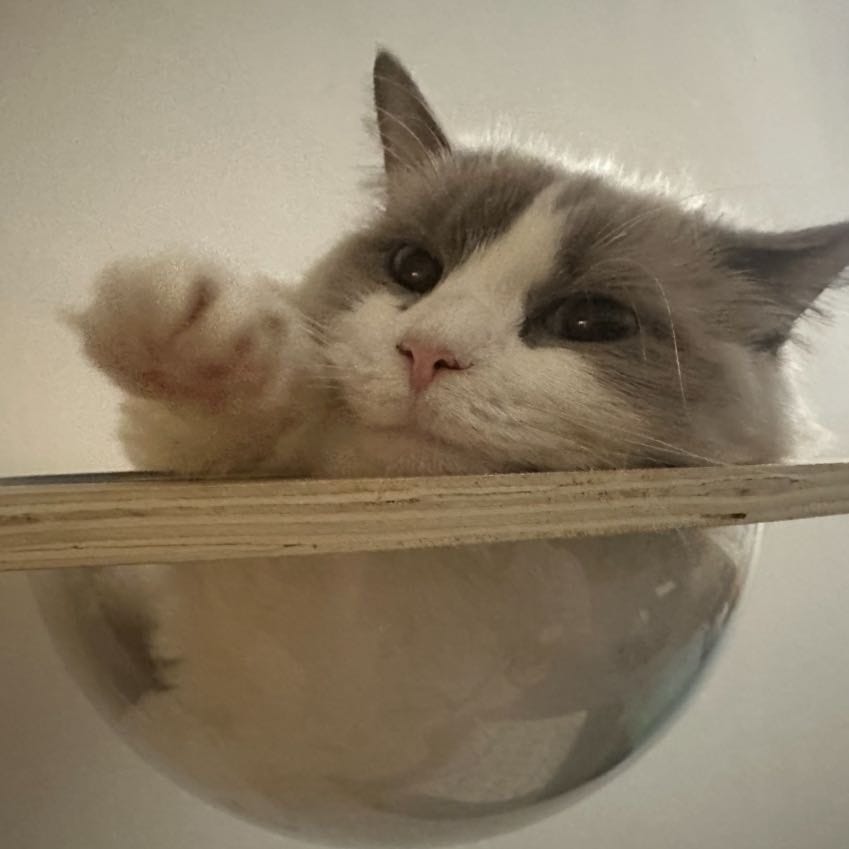 Kira