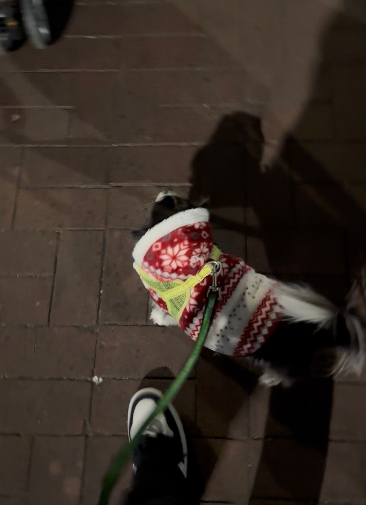 image-7