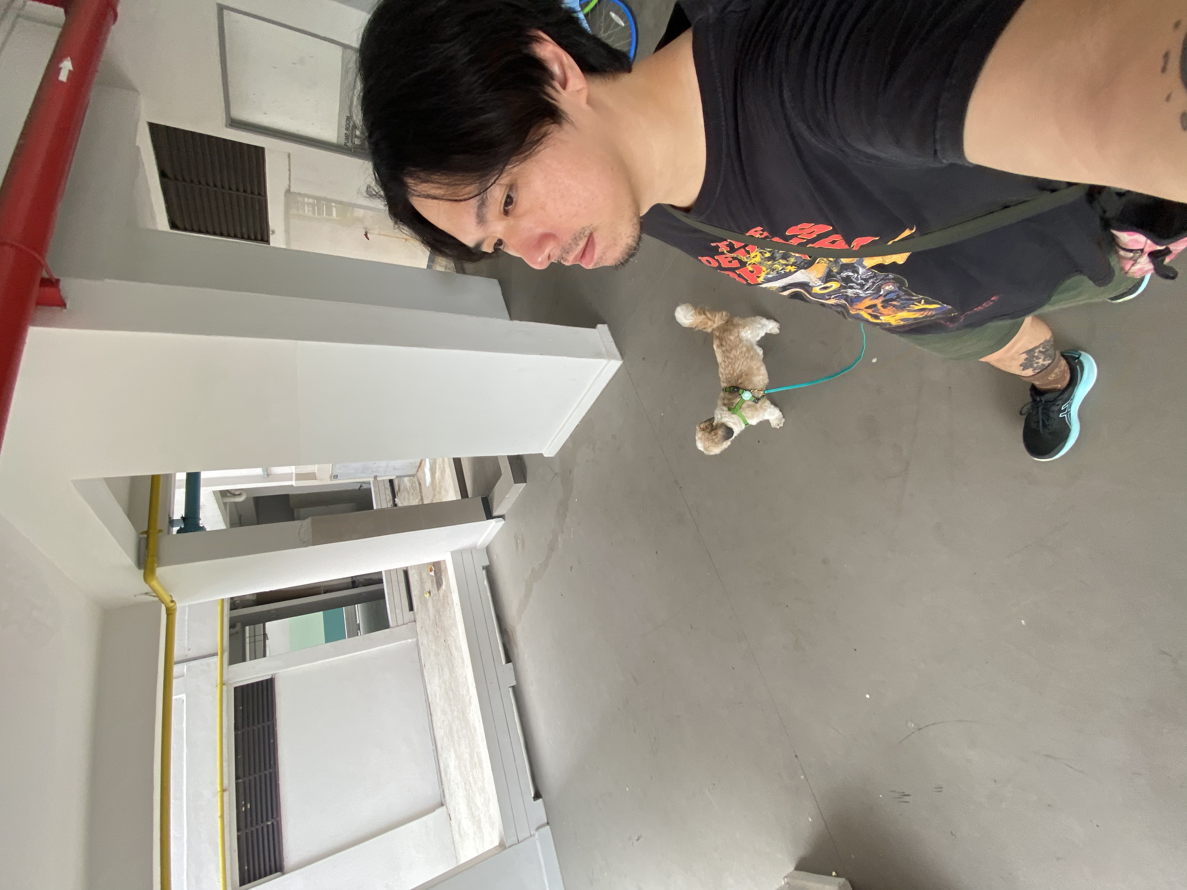 image-14