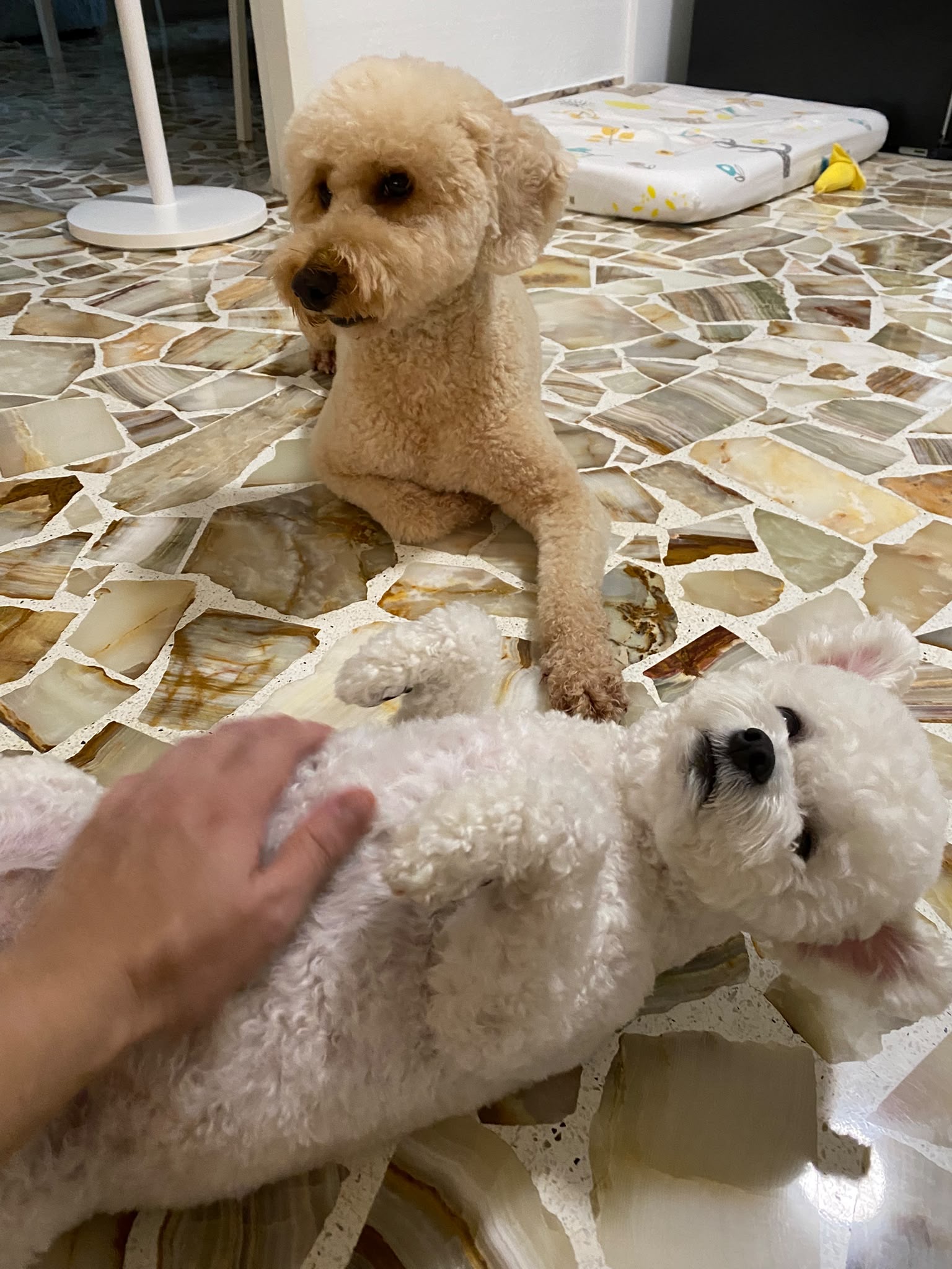image-12