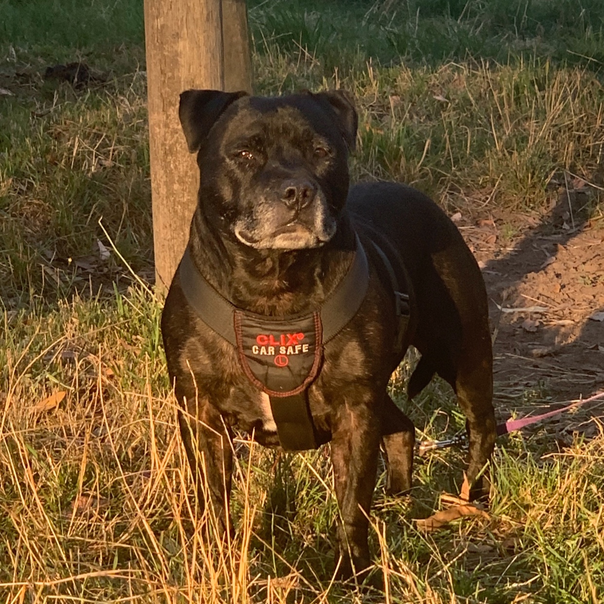 Opie