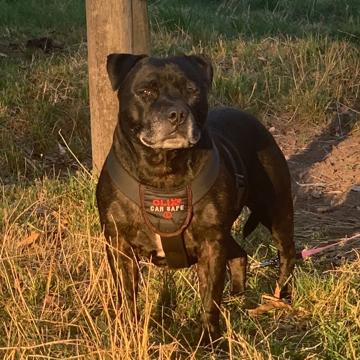 Opie