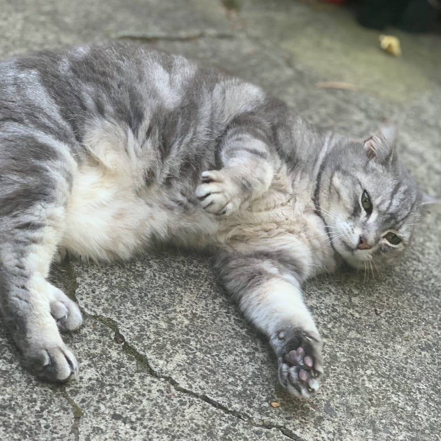 Lulu