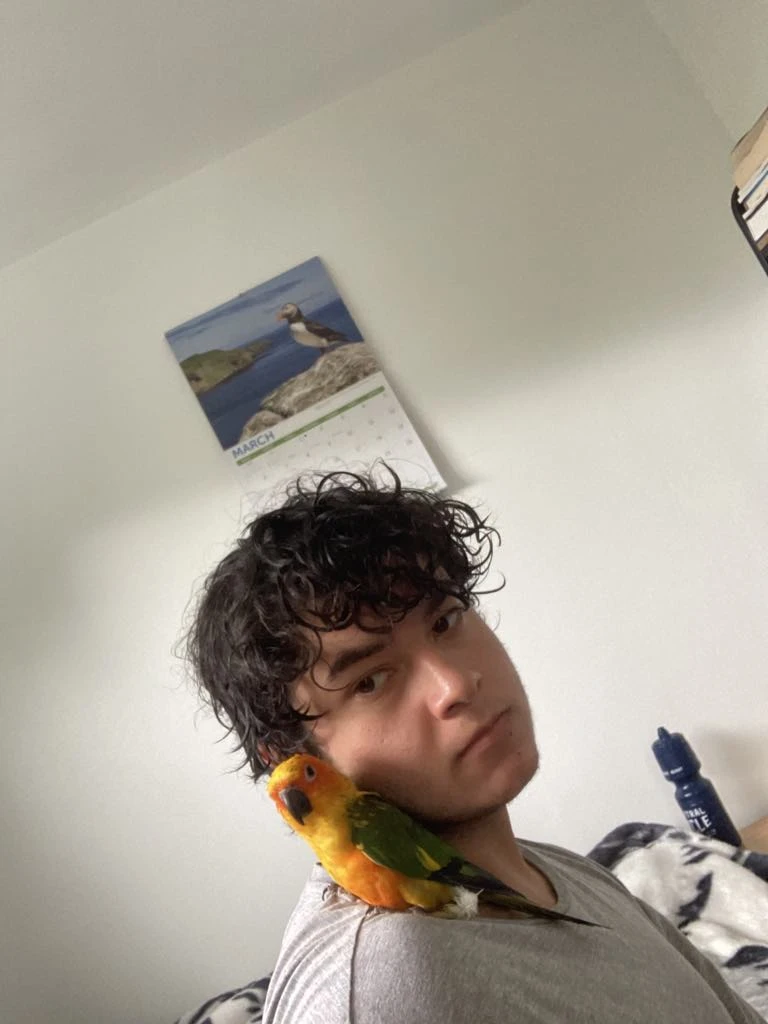 image-3