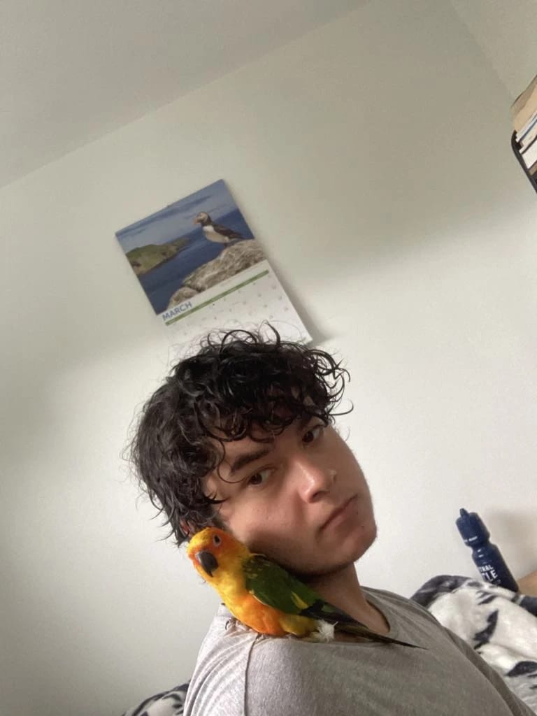 image-3