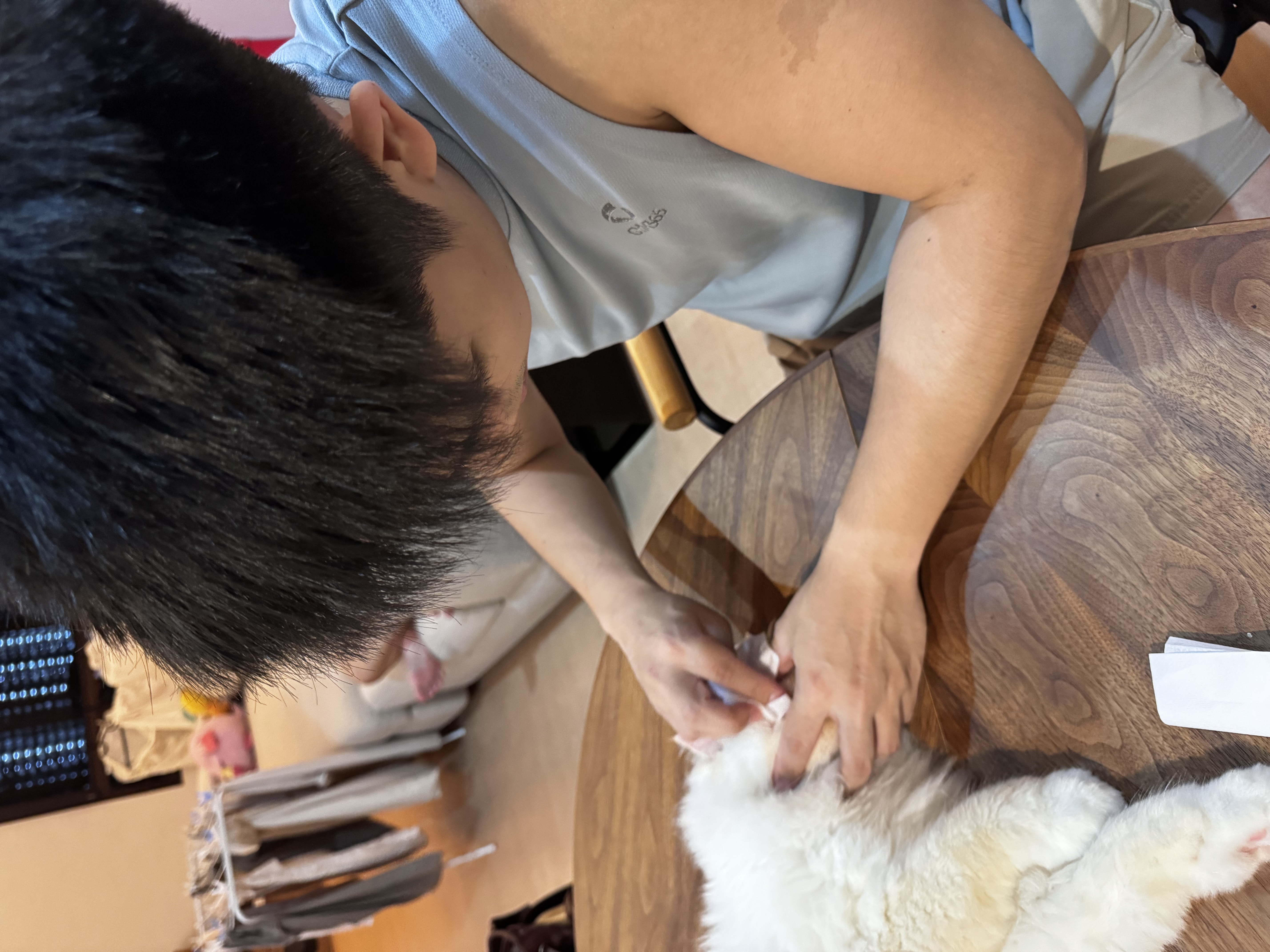 image-10