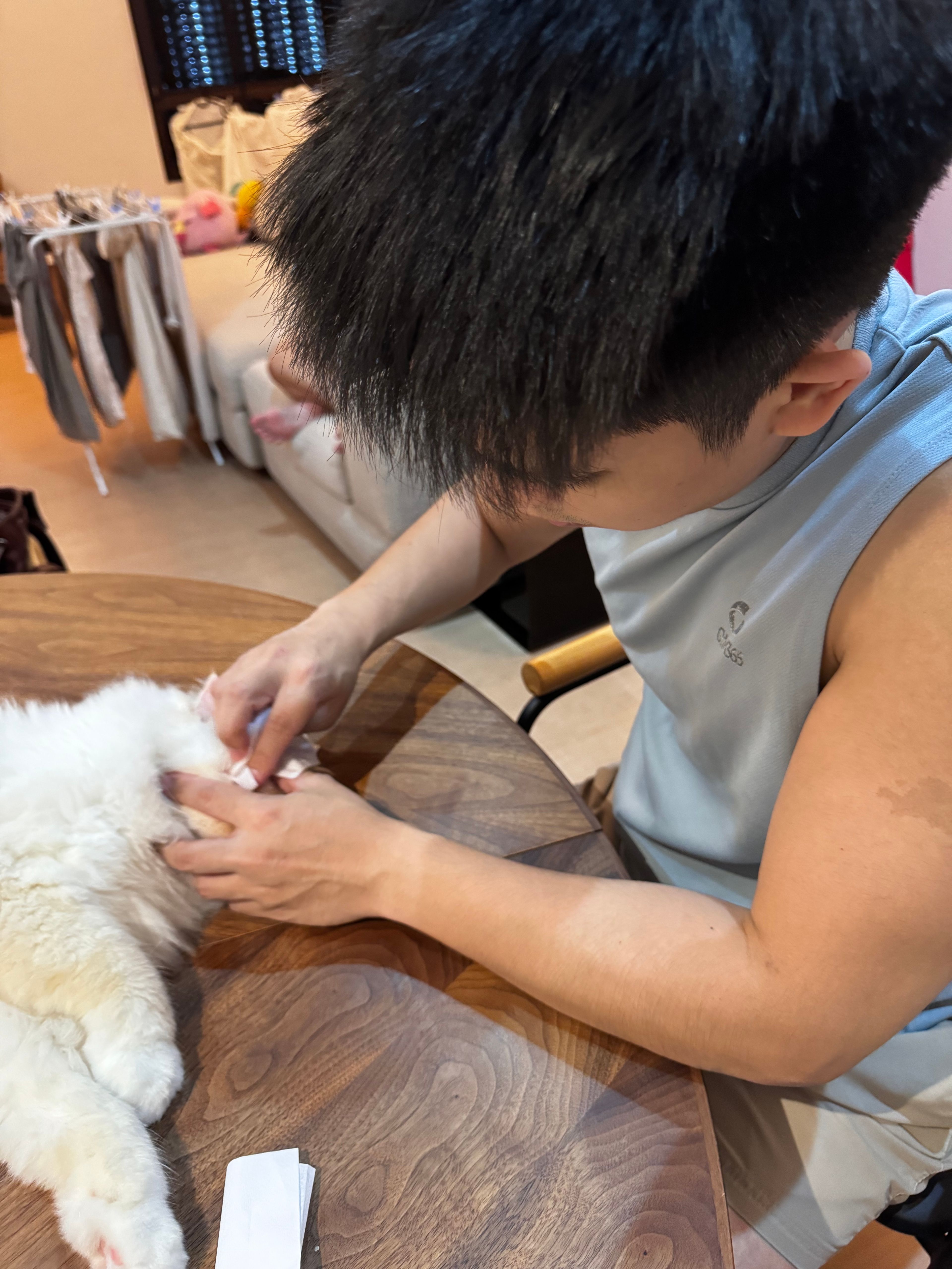 image-10