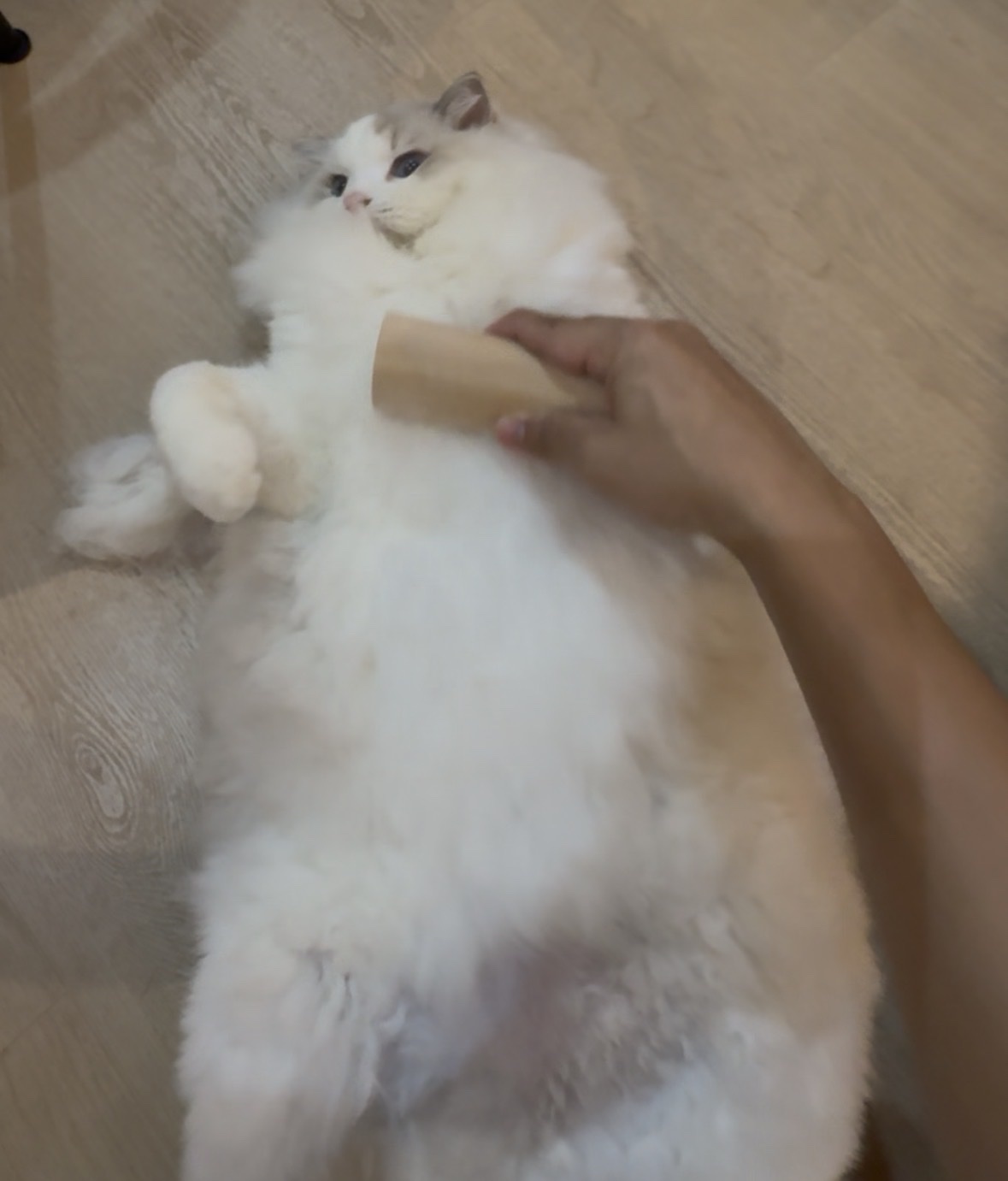 image-6