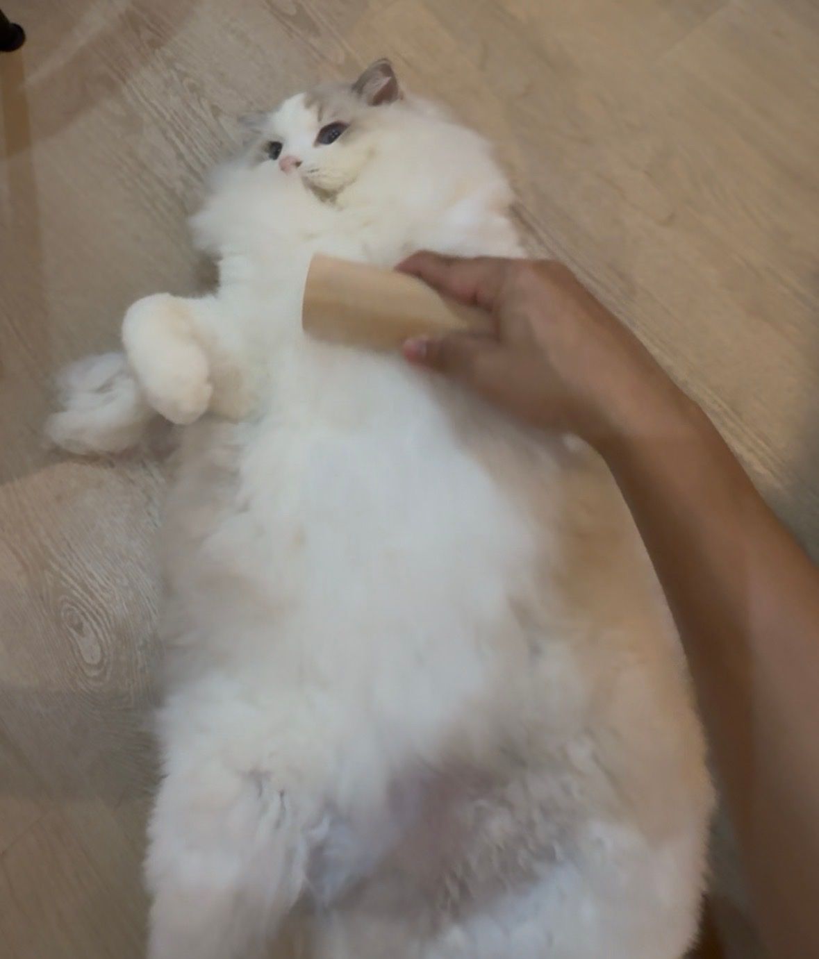 image-6