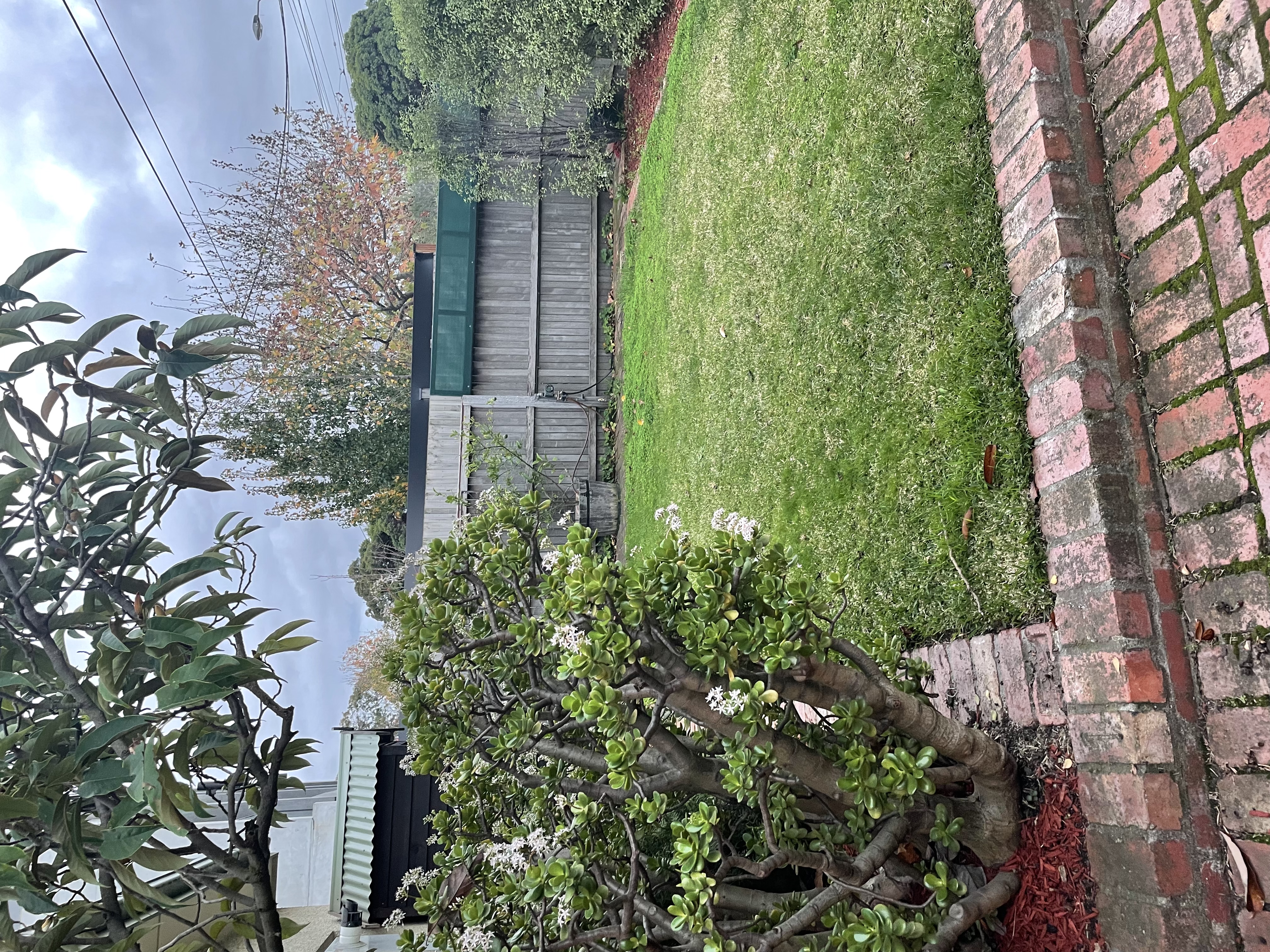 image-16