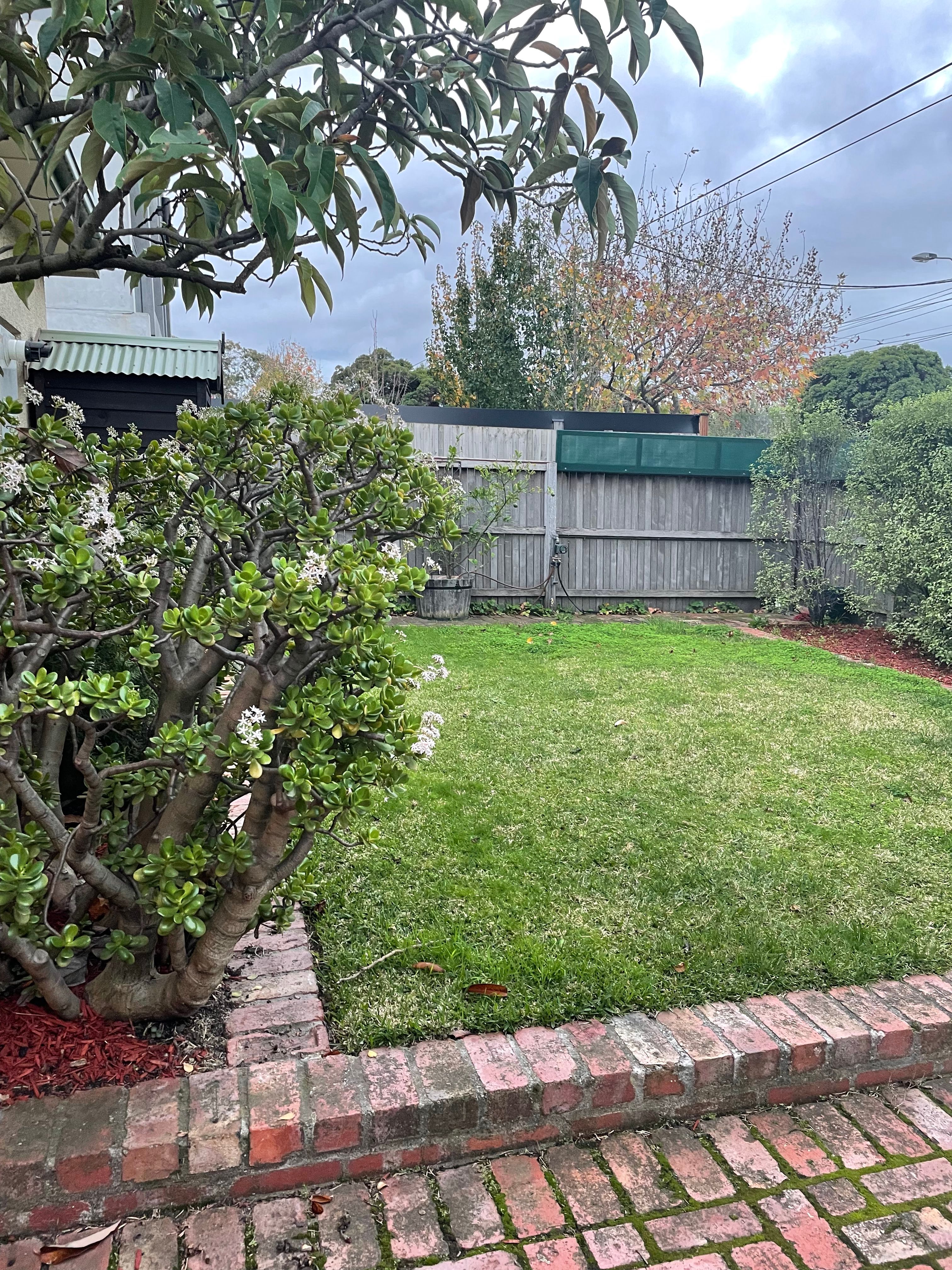 image-16