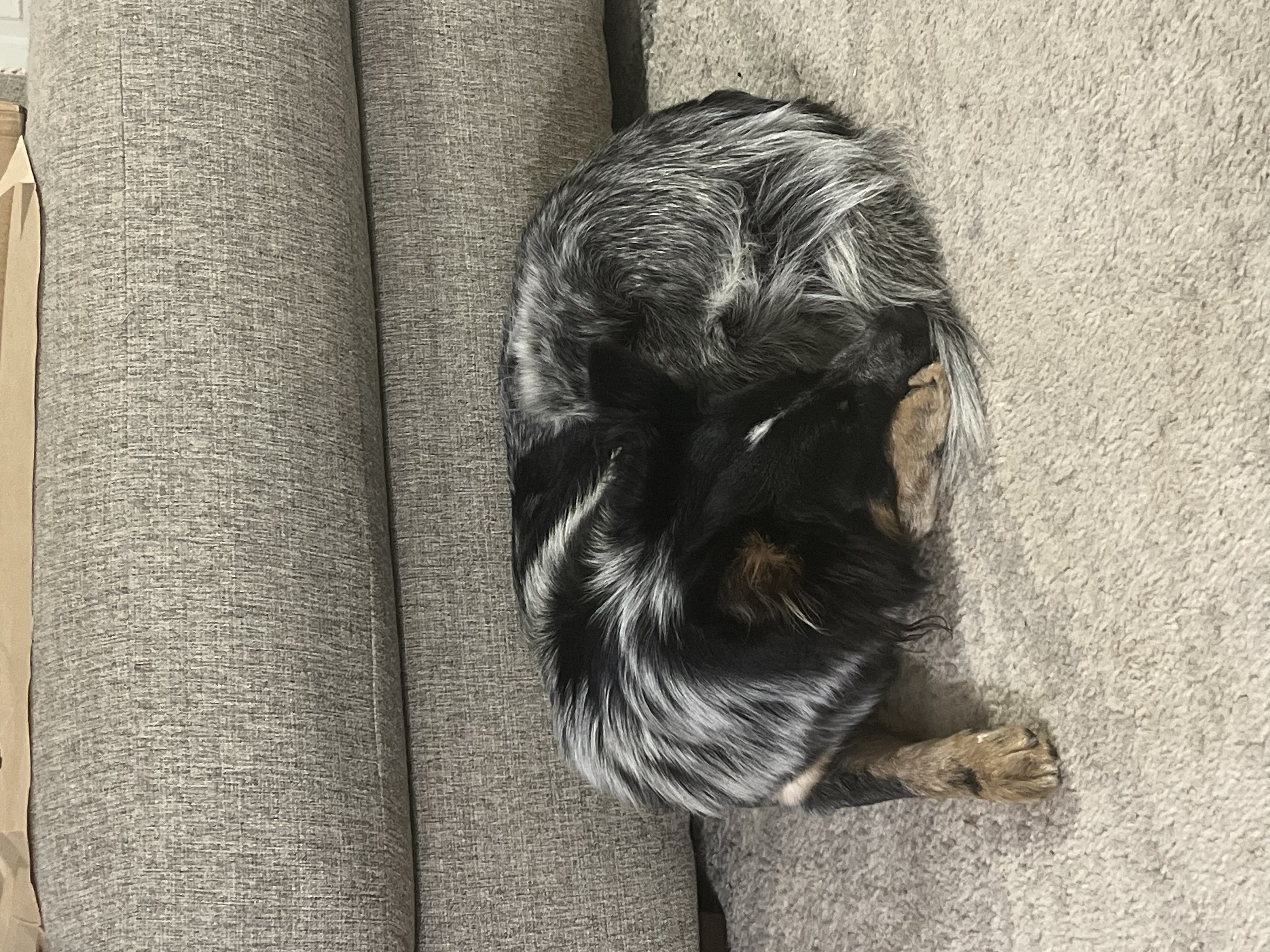 image-6