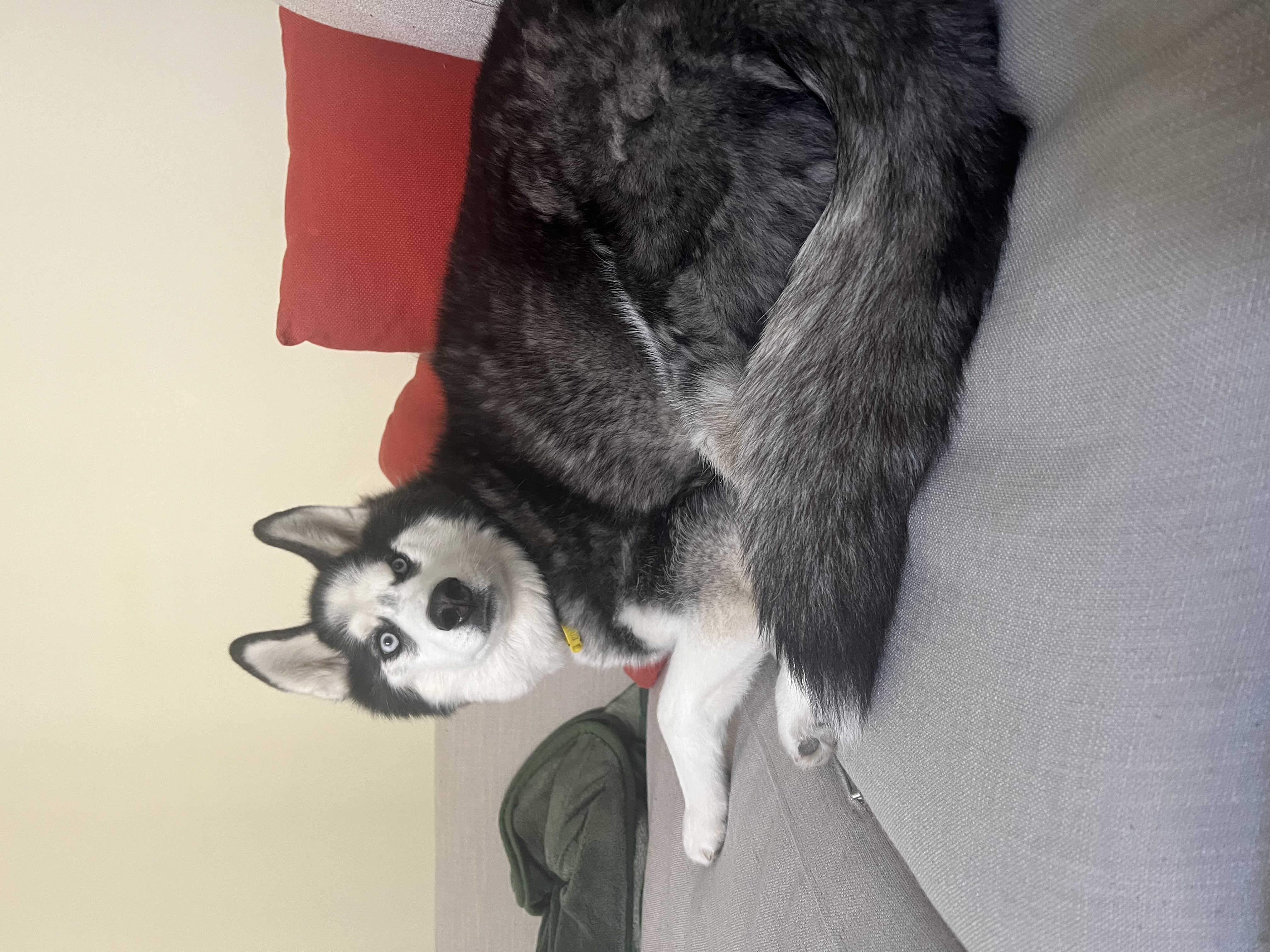 image-5