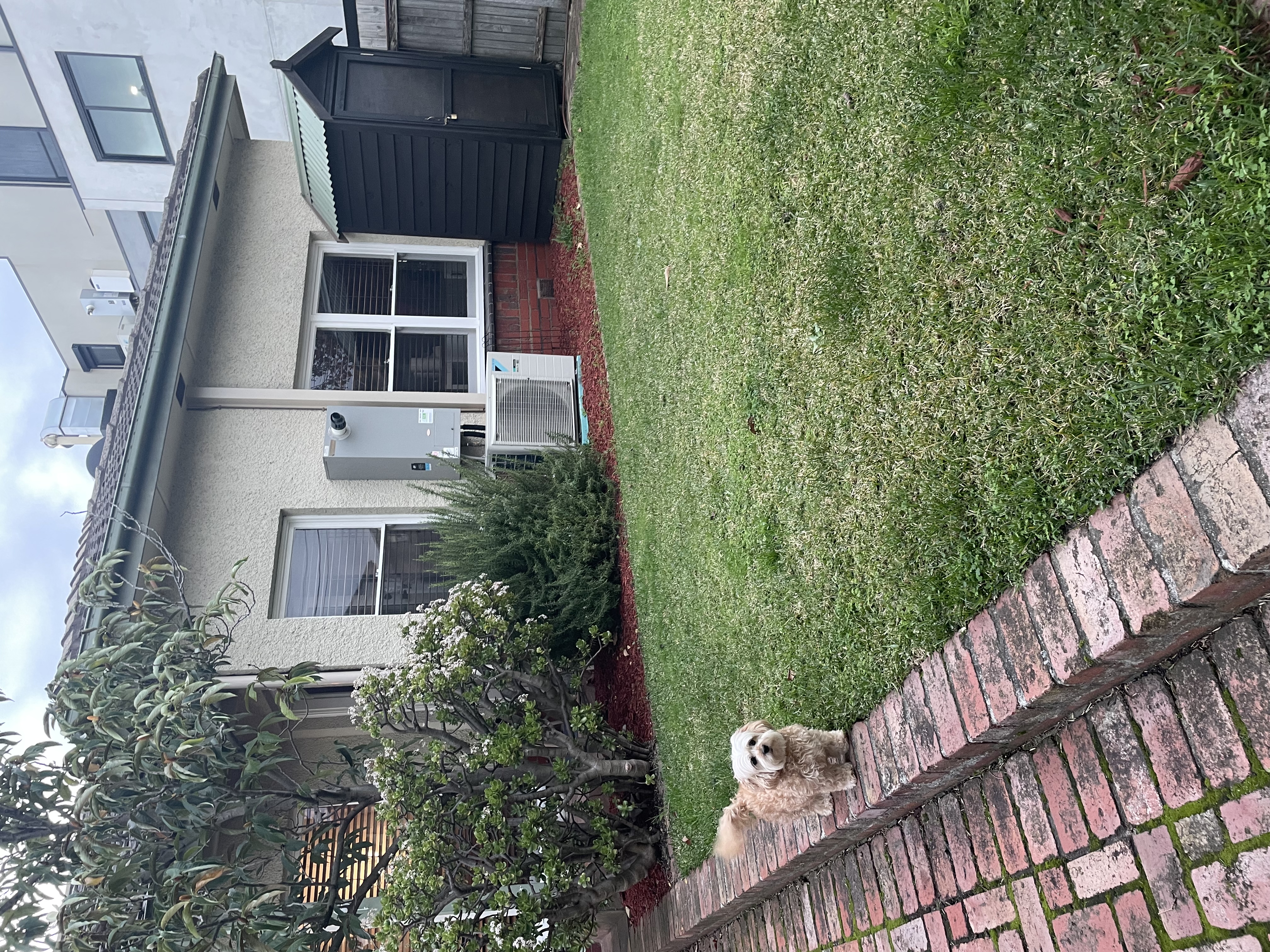 image-15