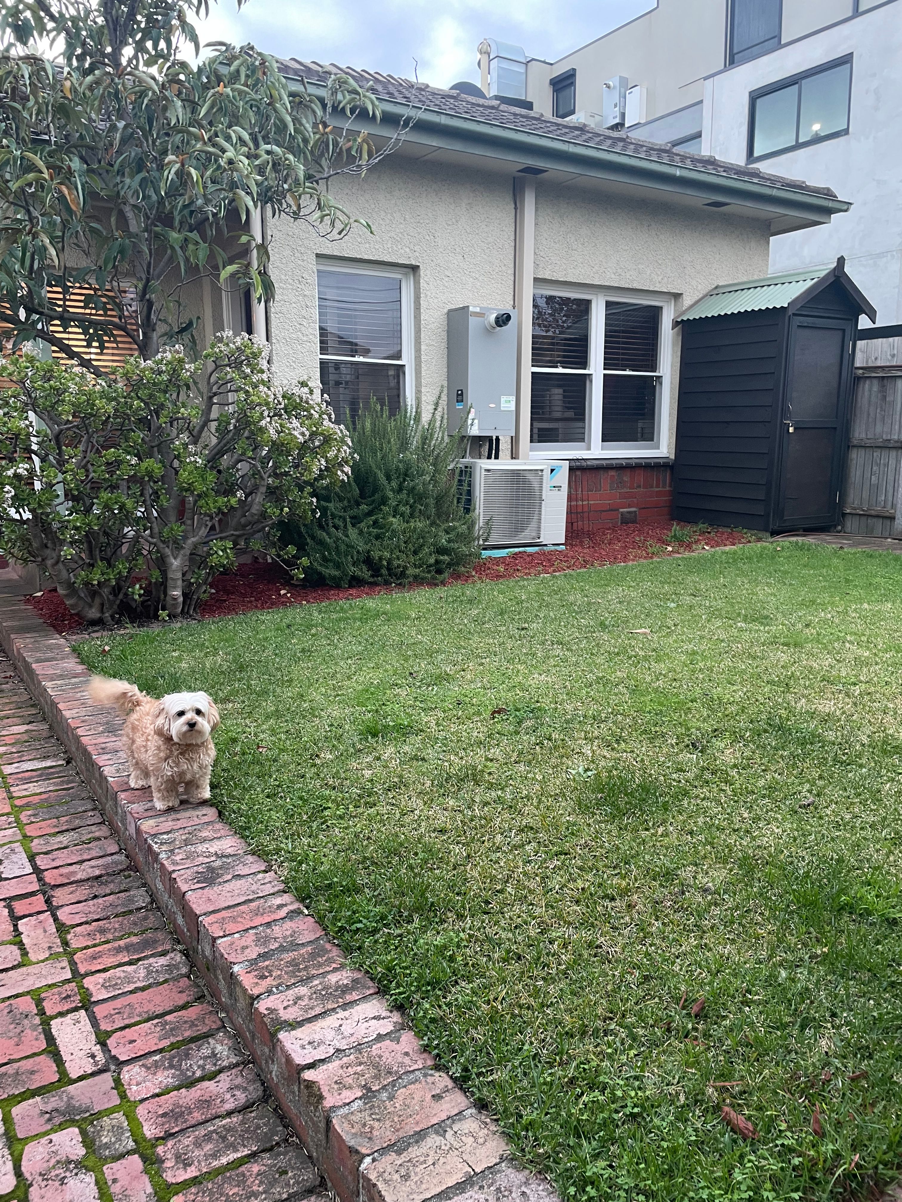 image-15