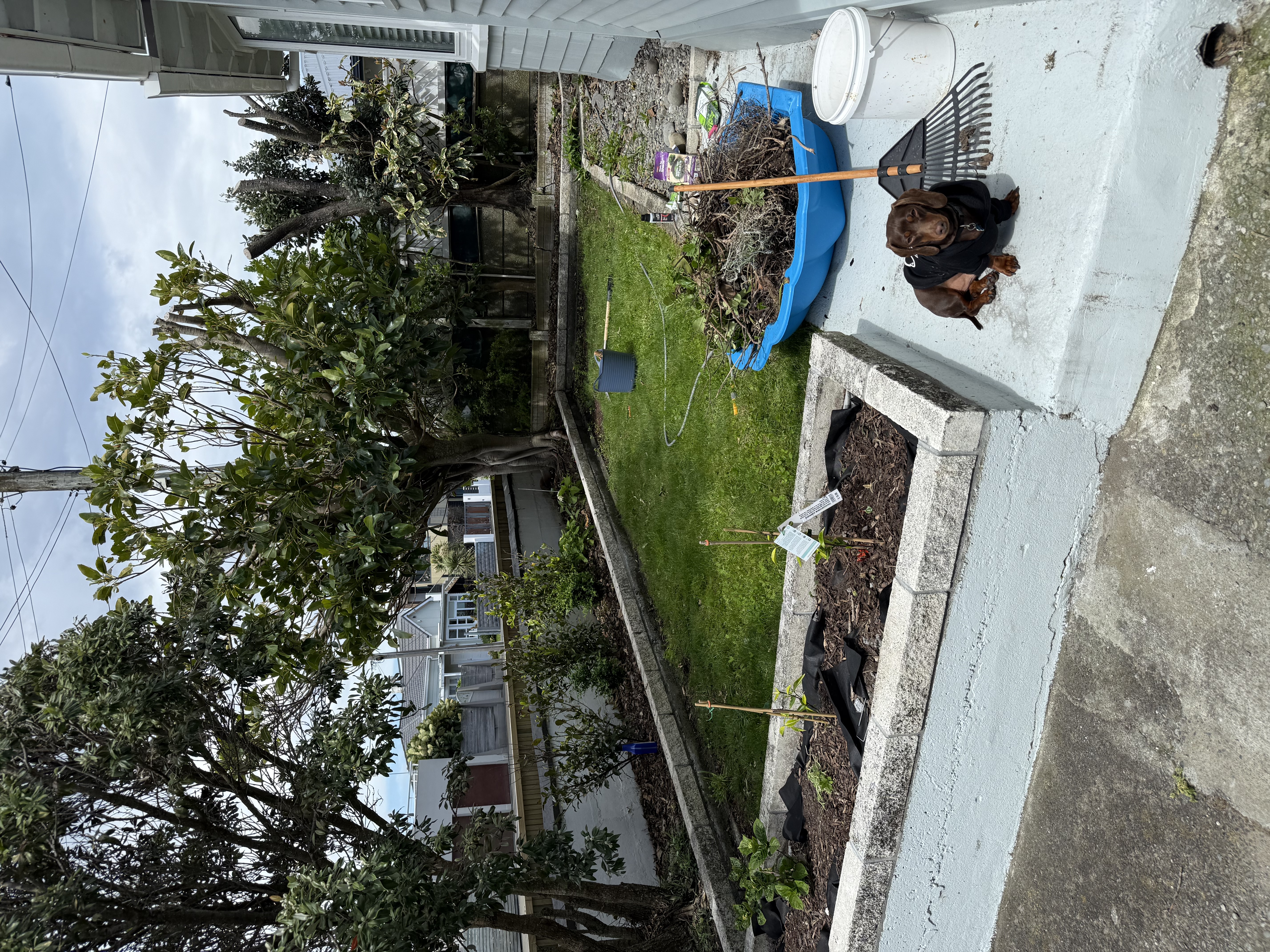 image-15