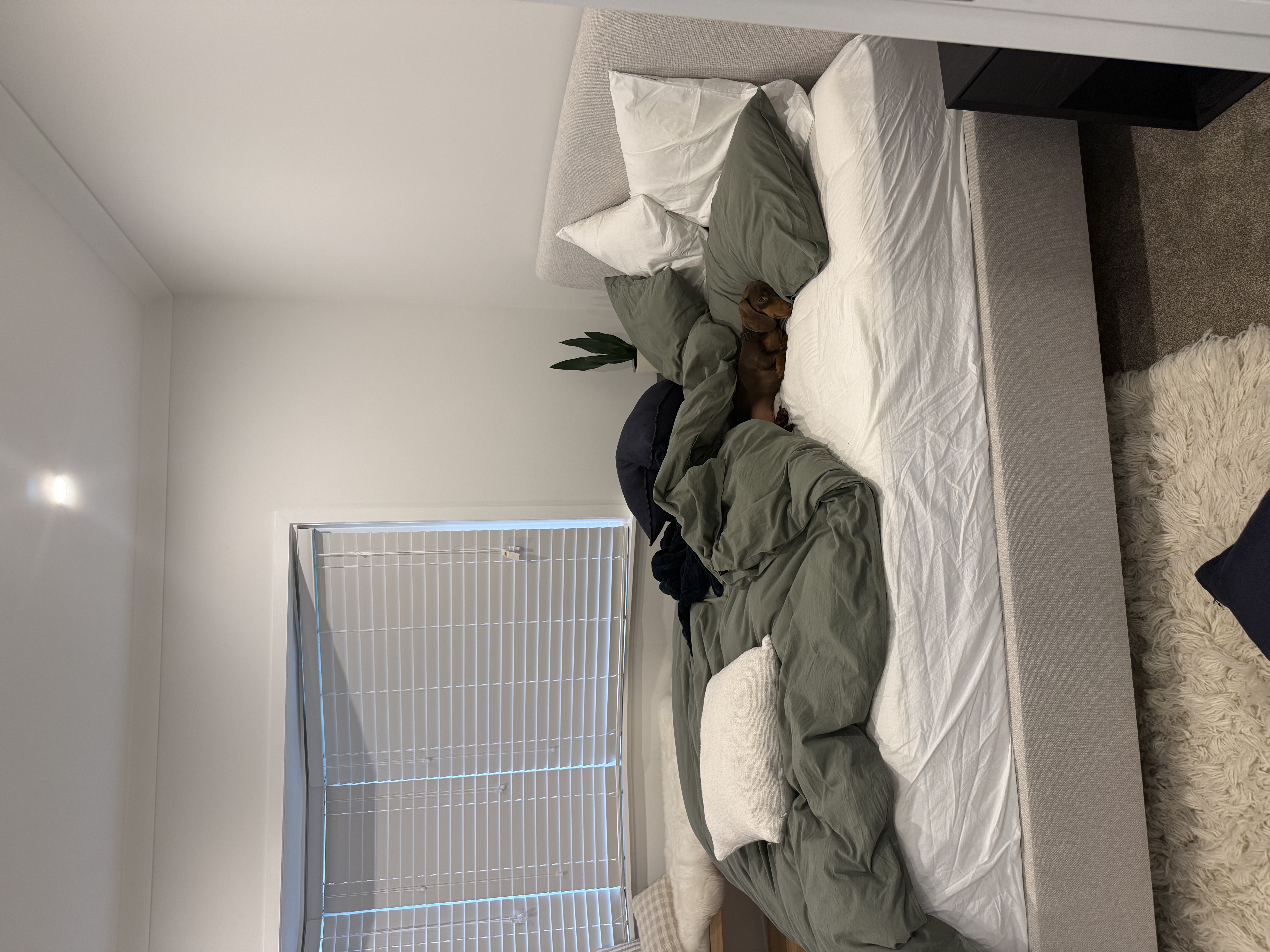 image-13