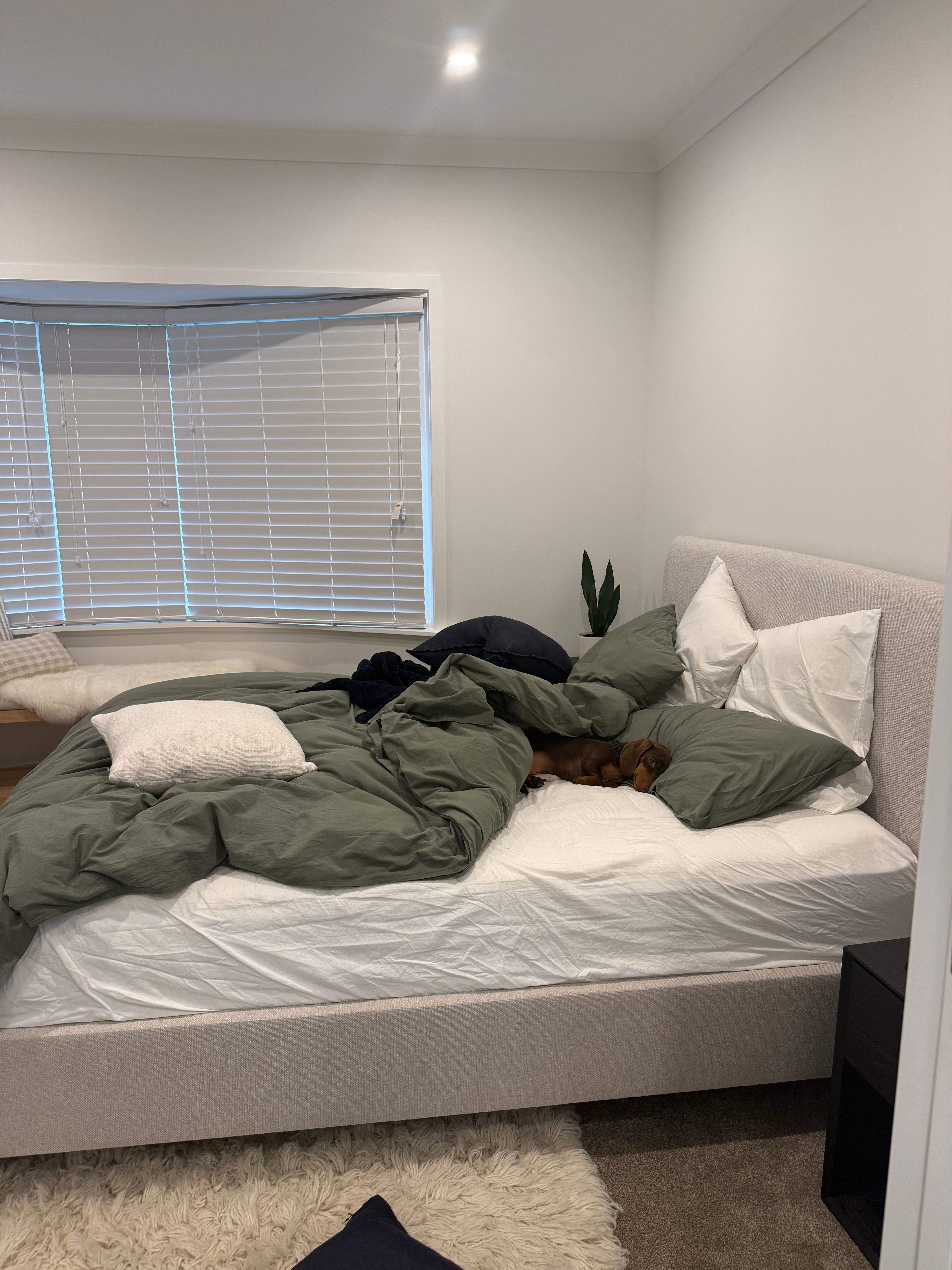 image-13