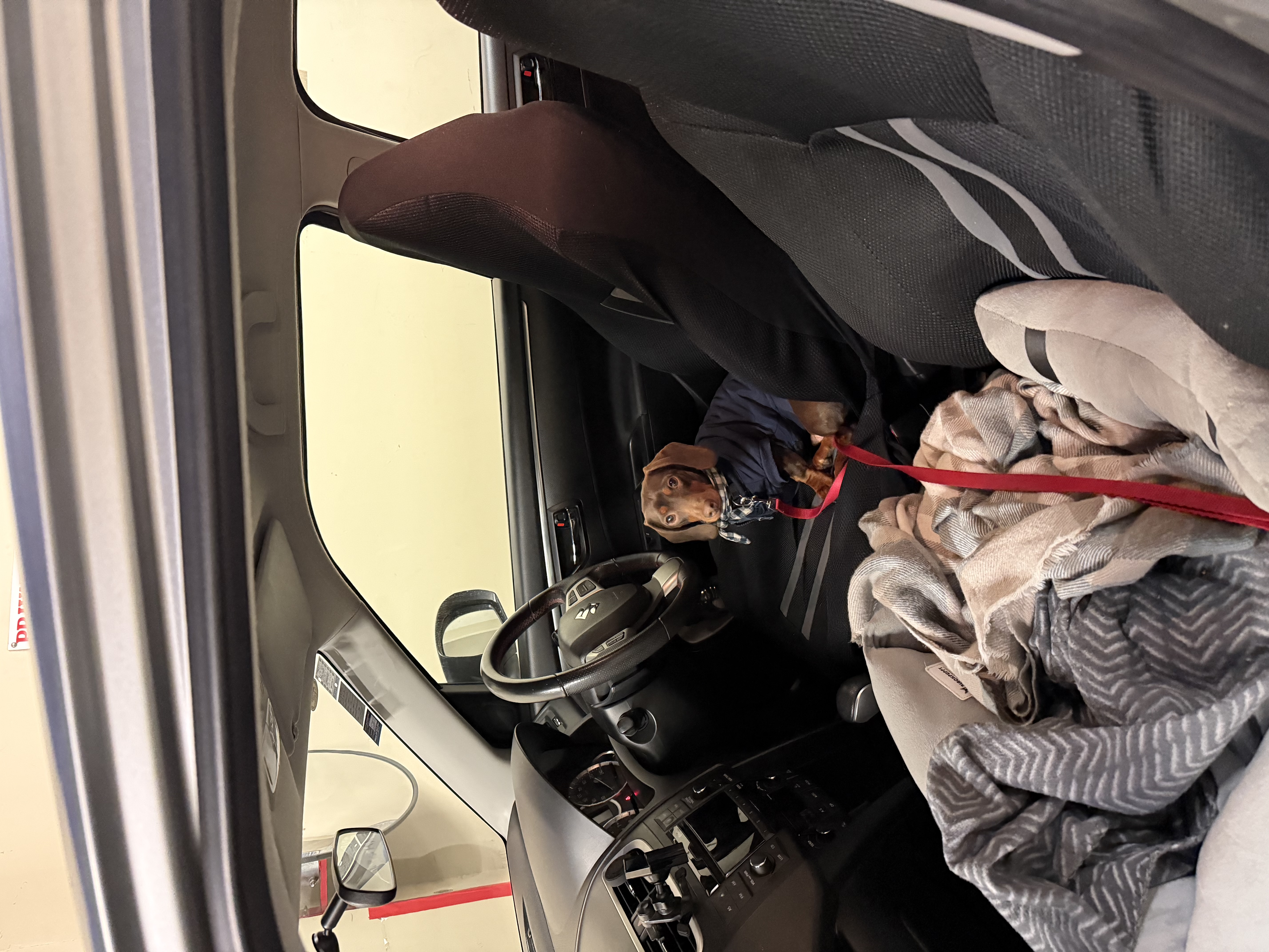 image-16