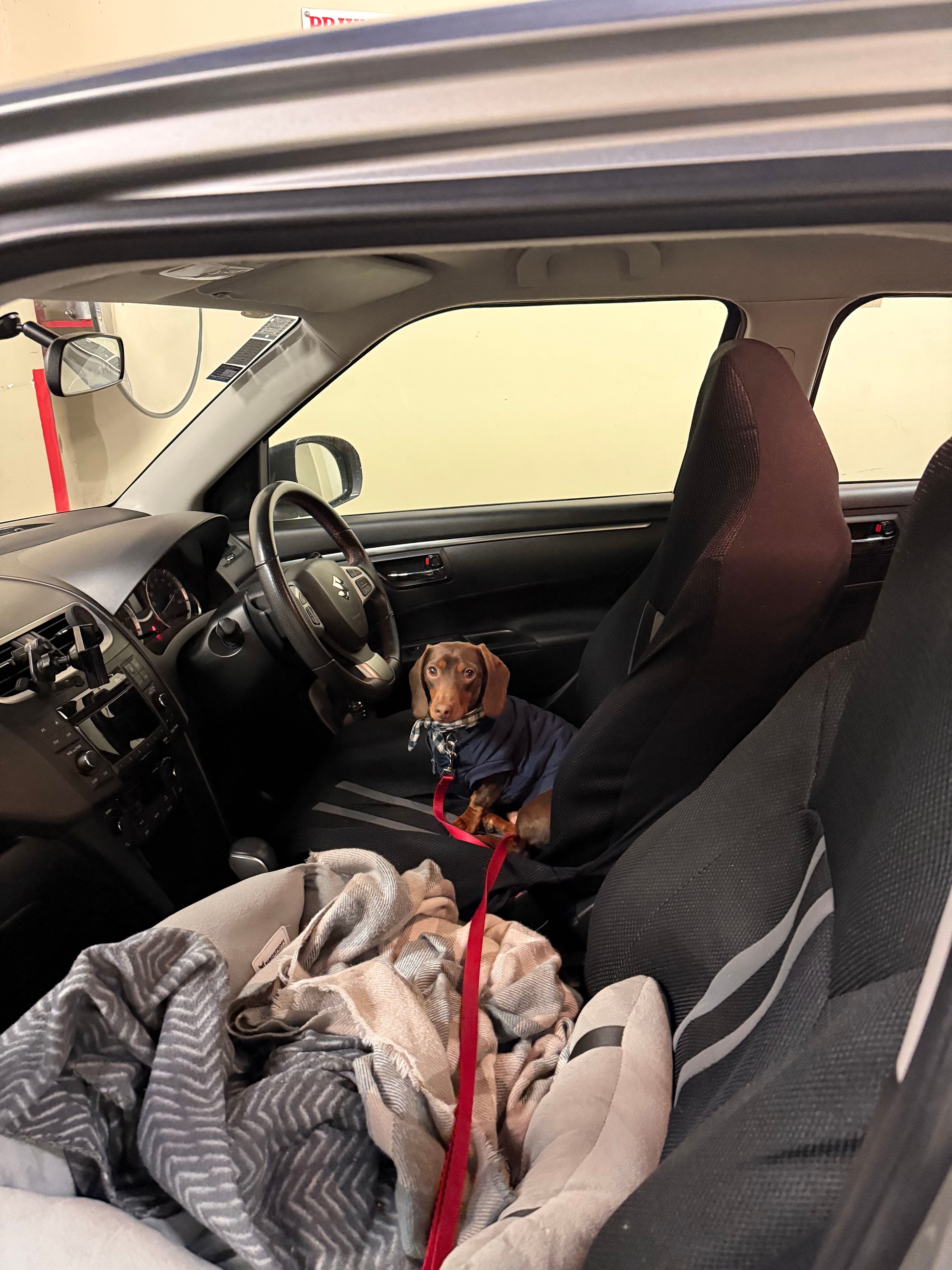 image-16