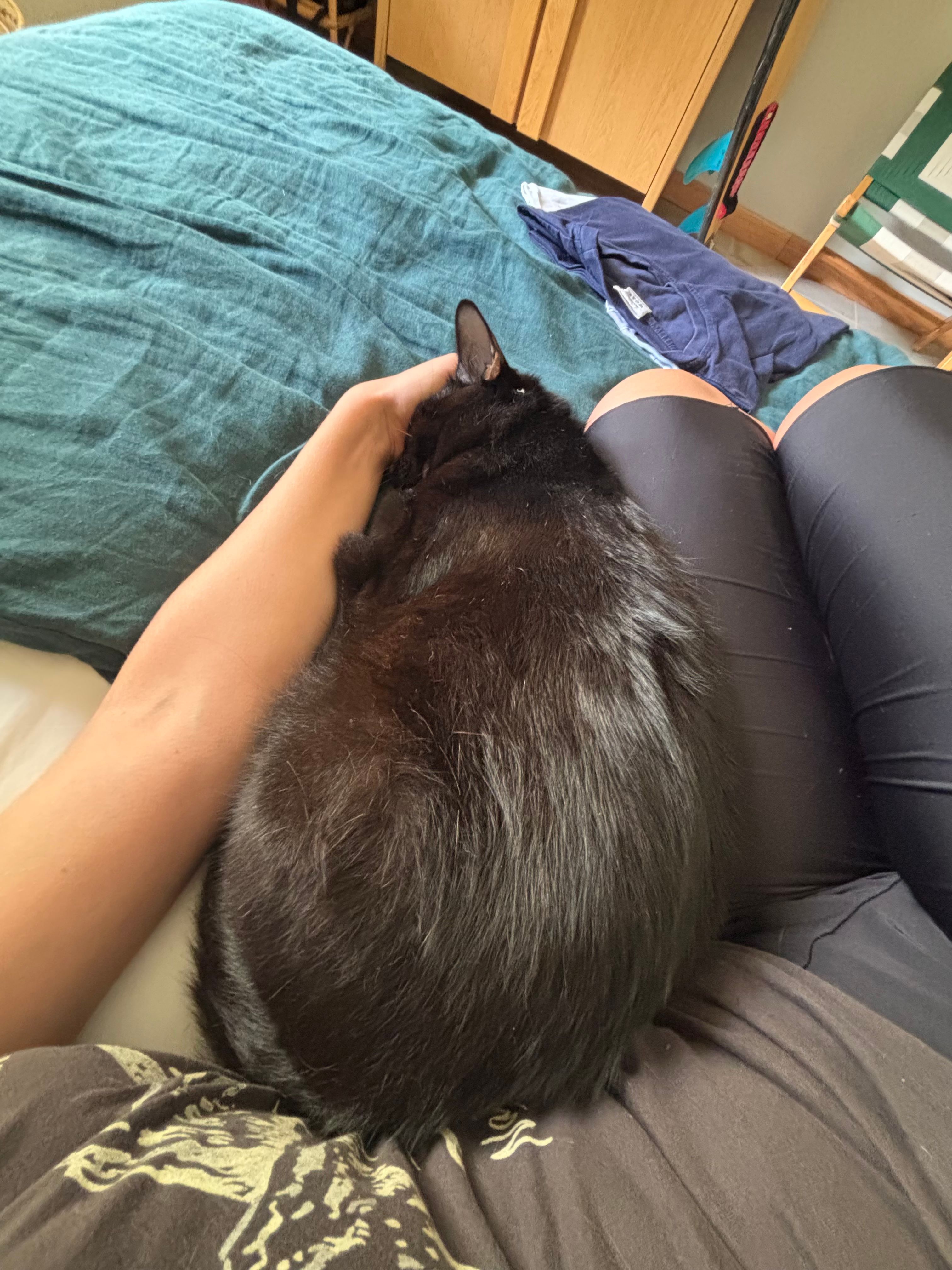image-6