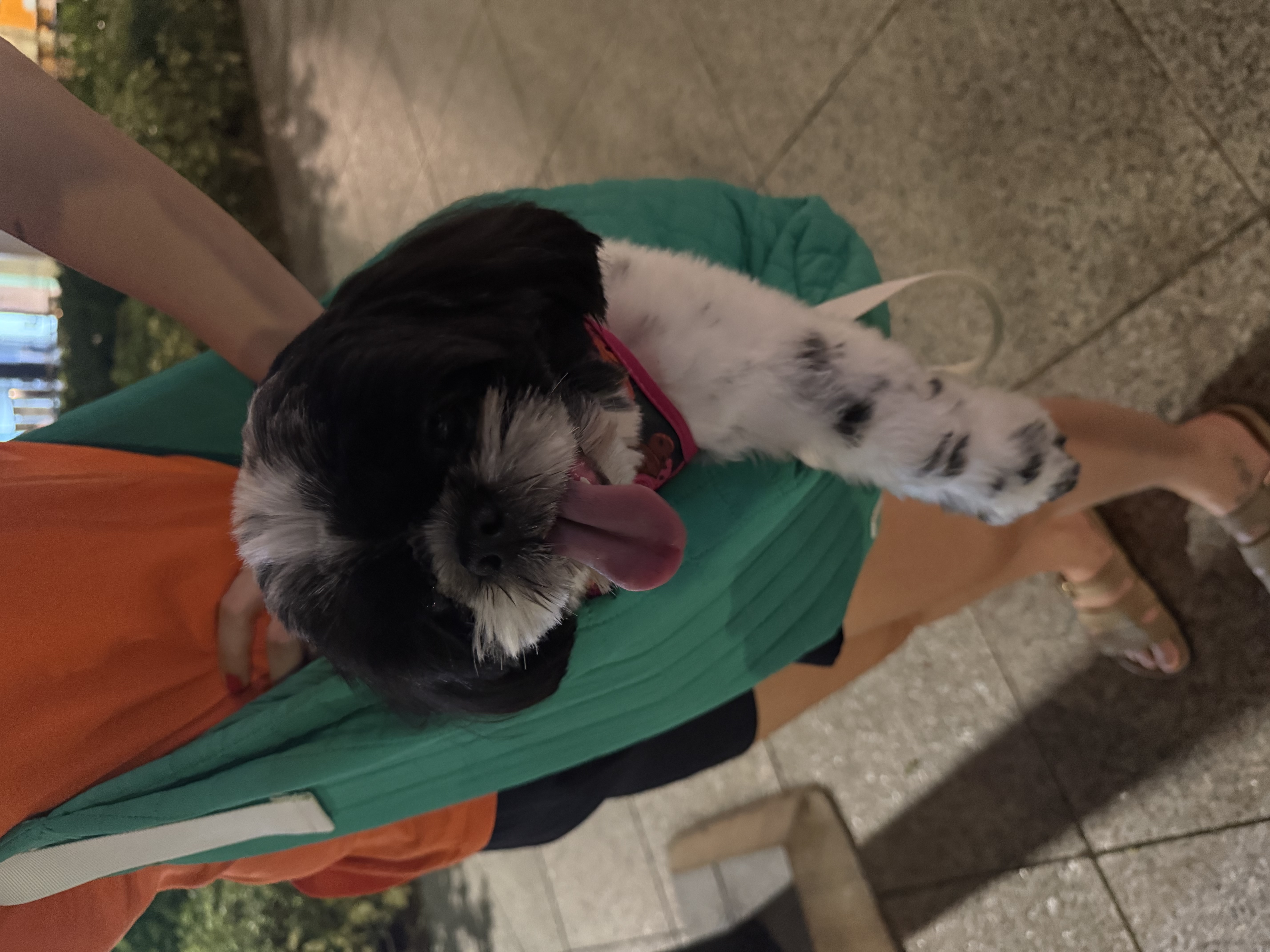 image-5