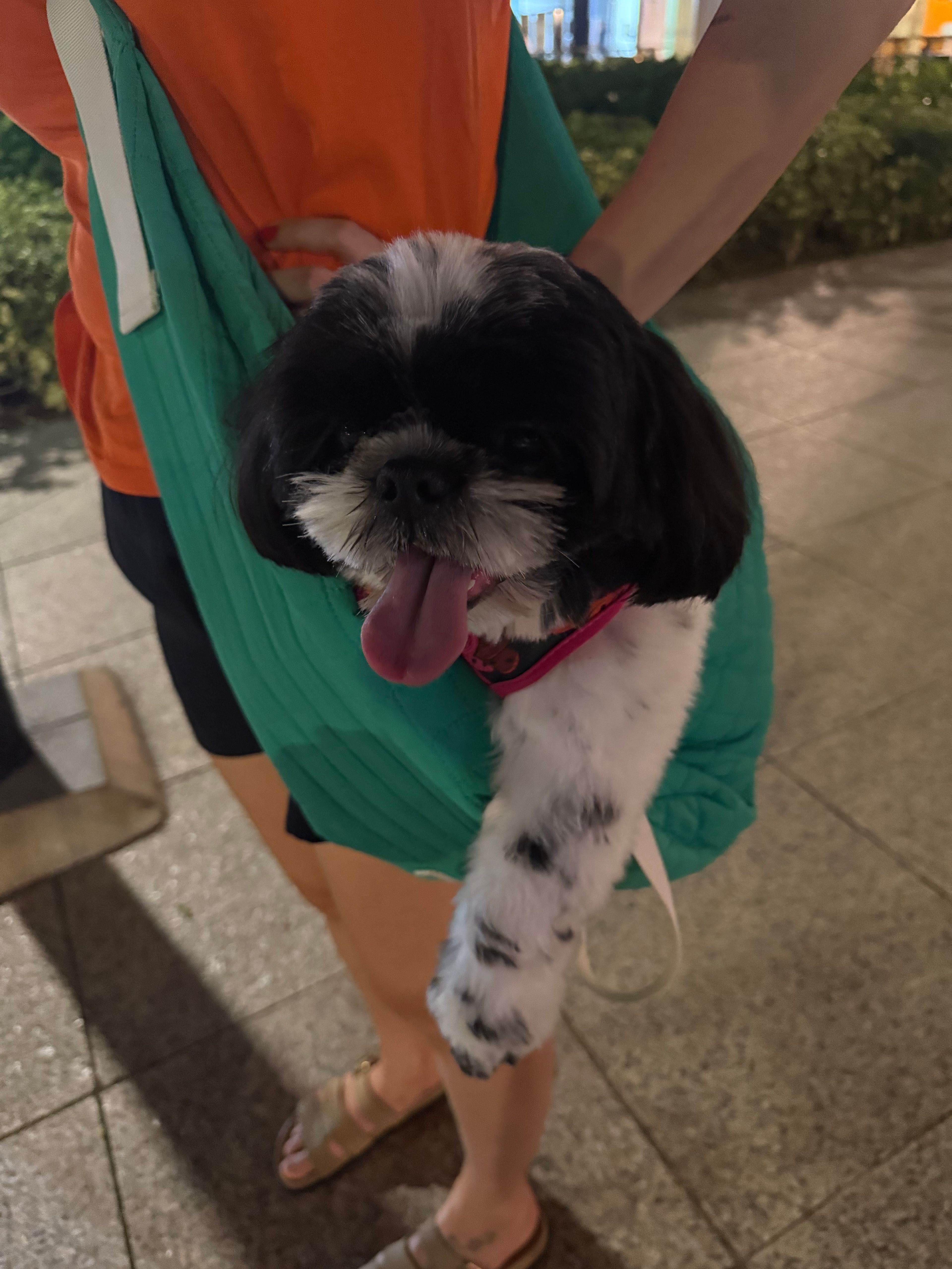 image-5