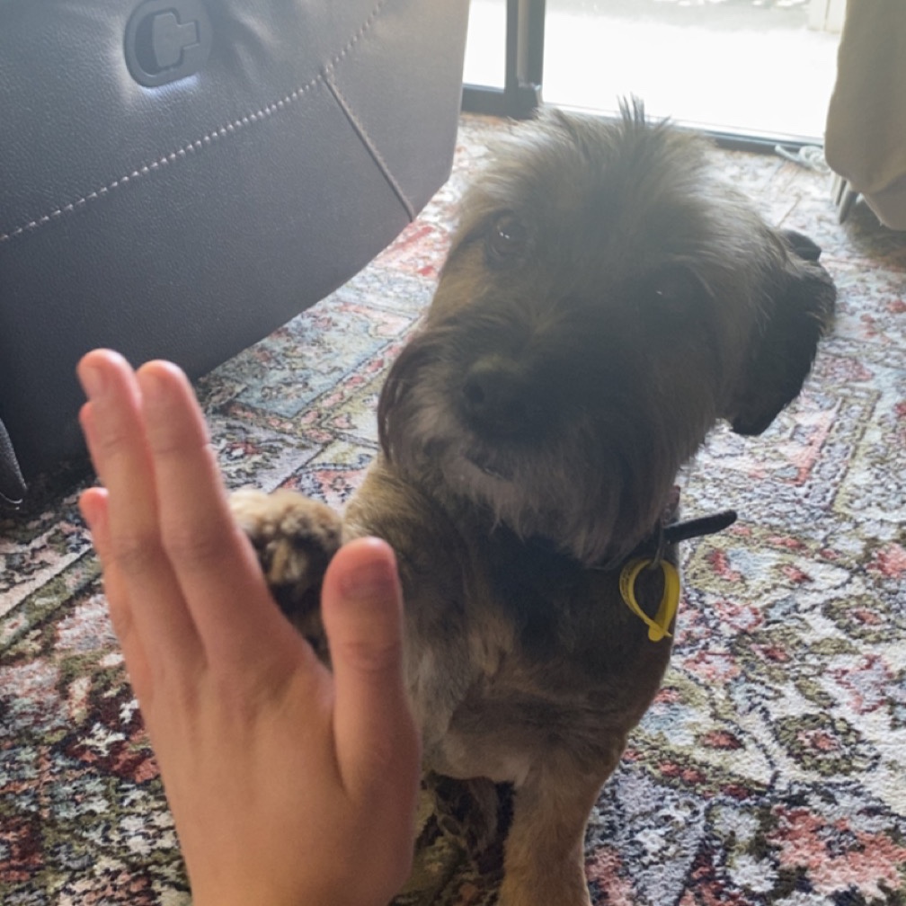 Oscar