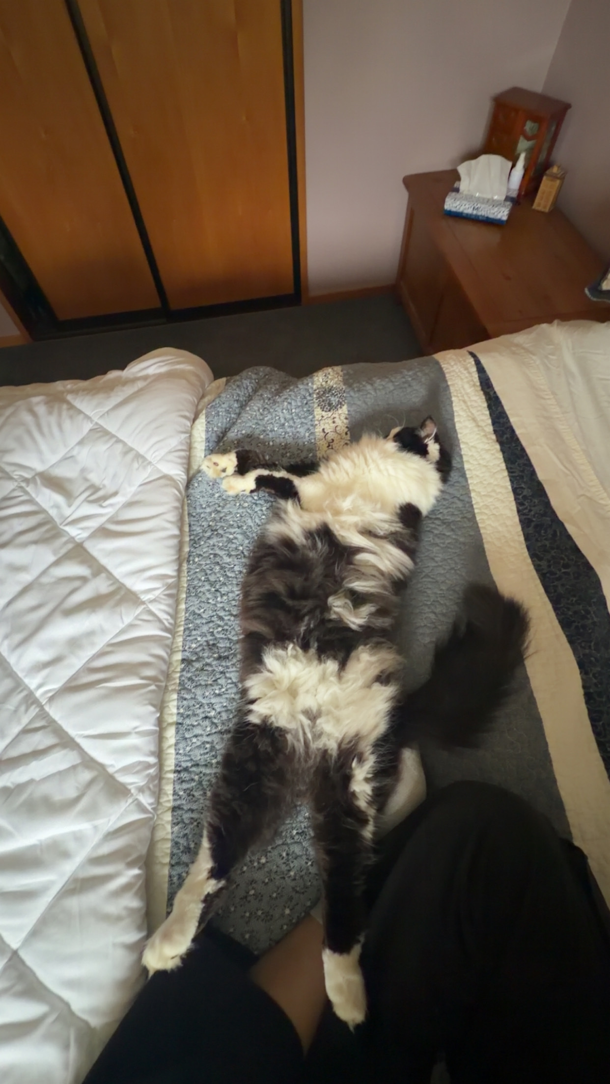 image-7