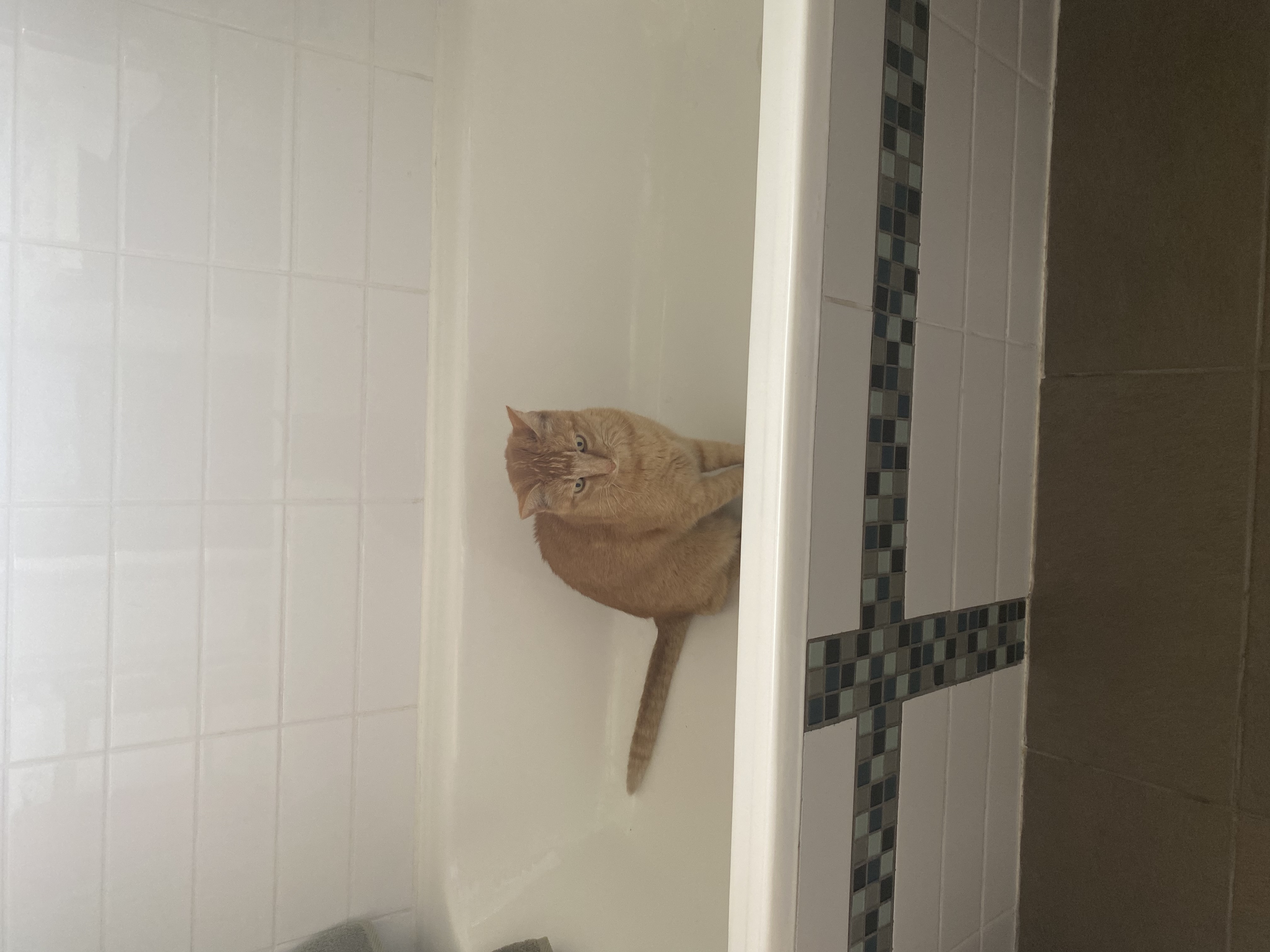 image-8