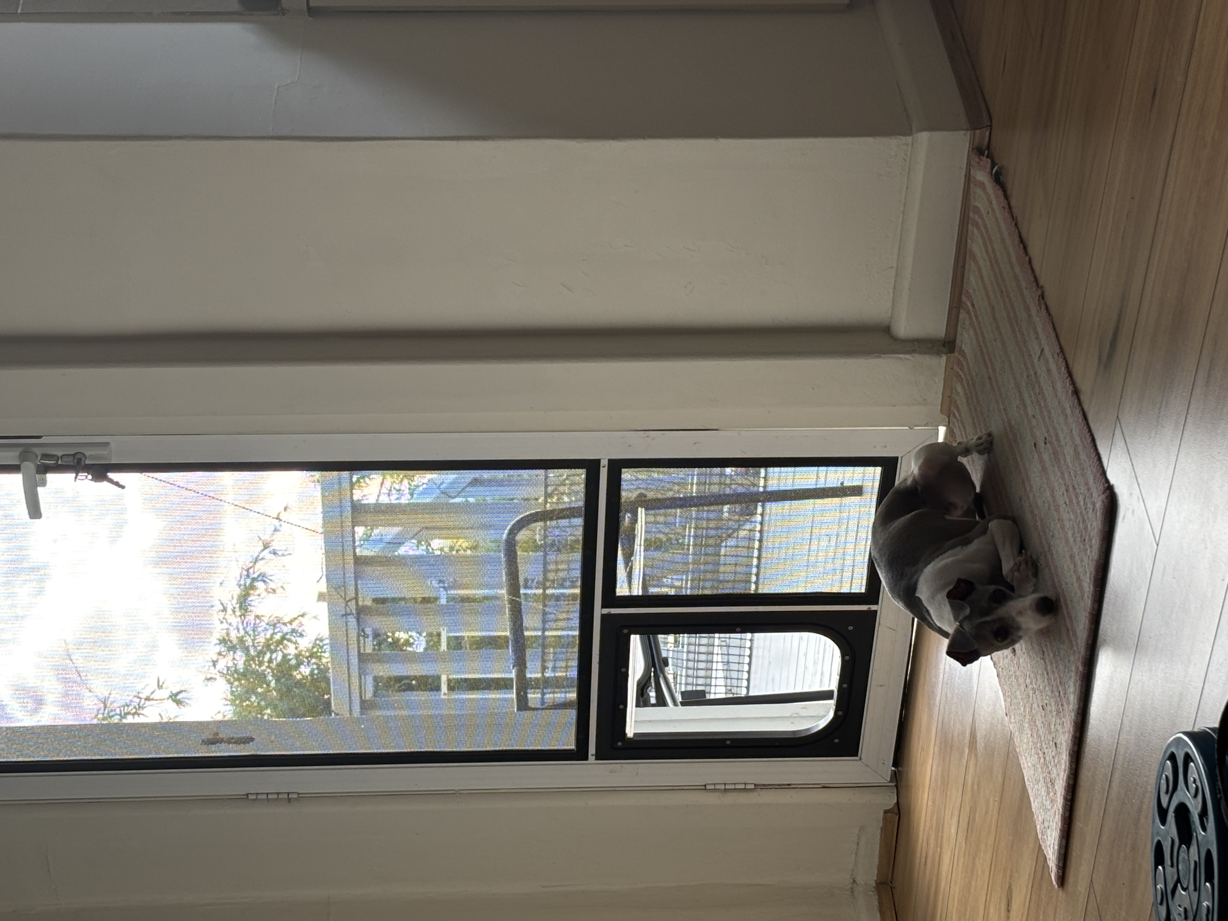 image-14