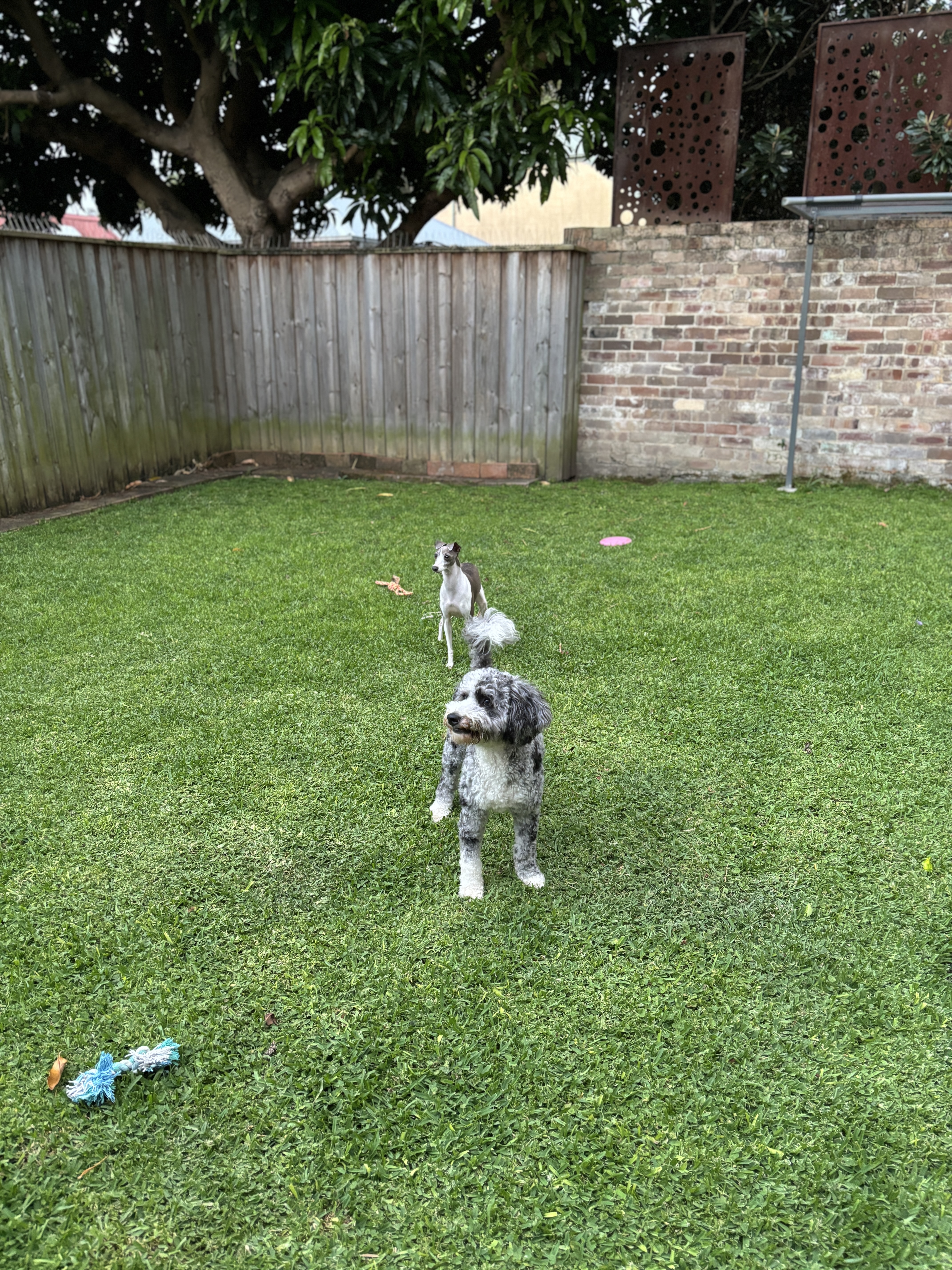 image-13