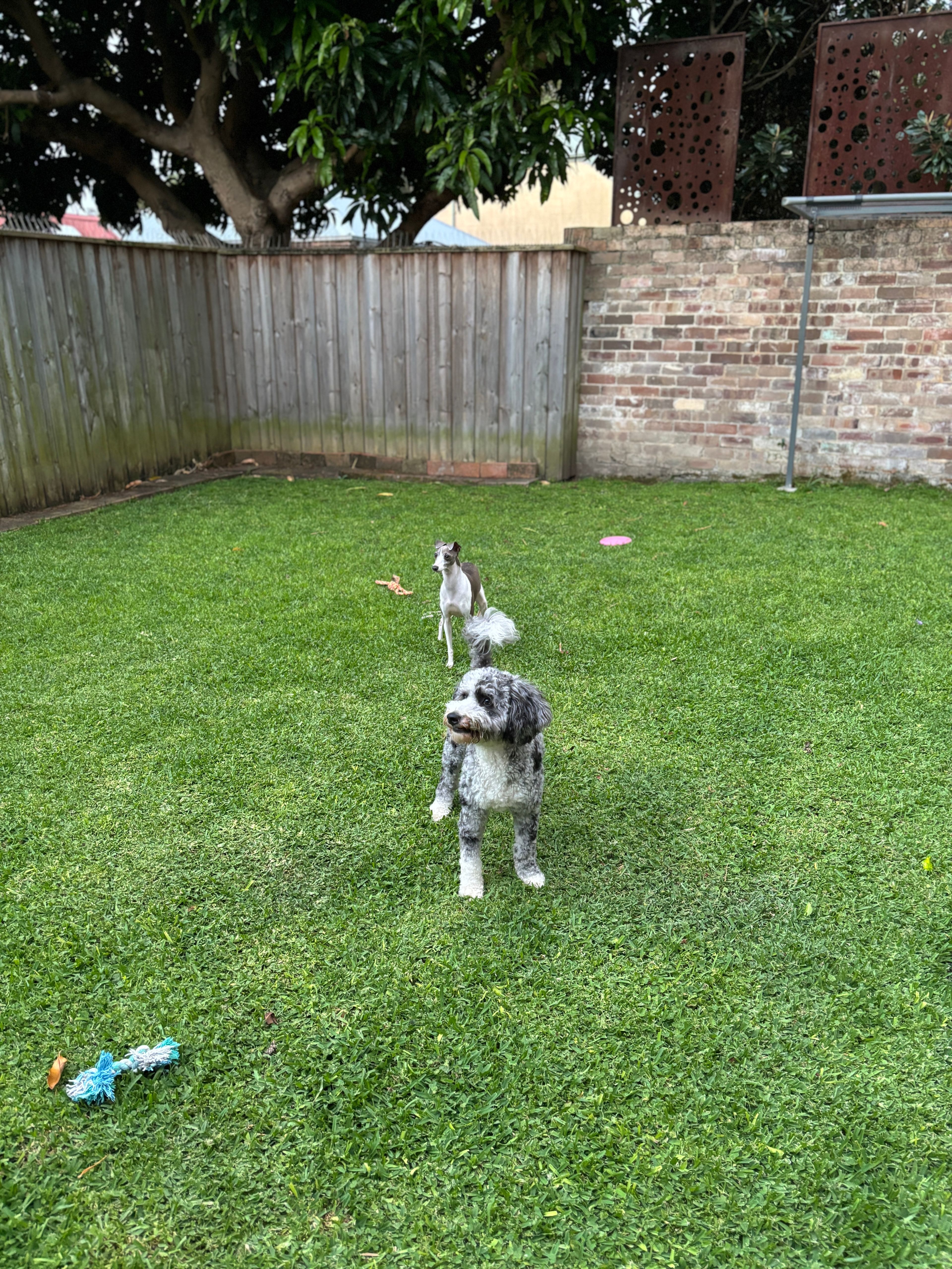 image-13