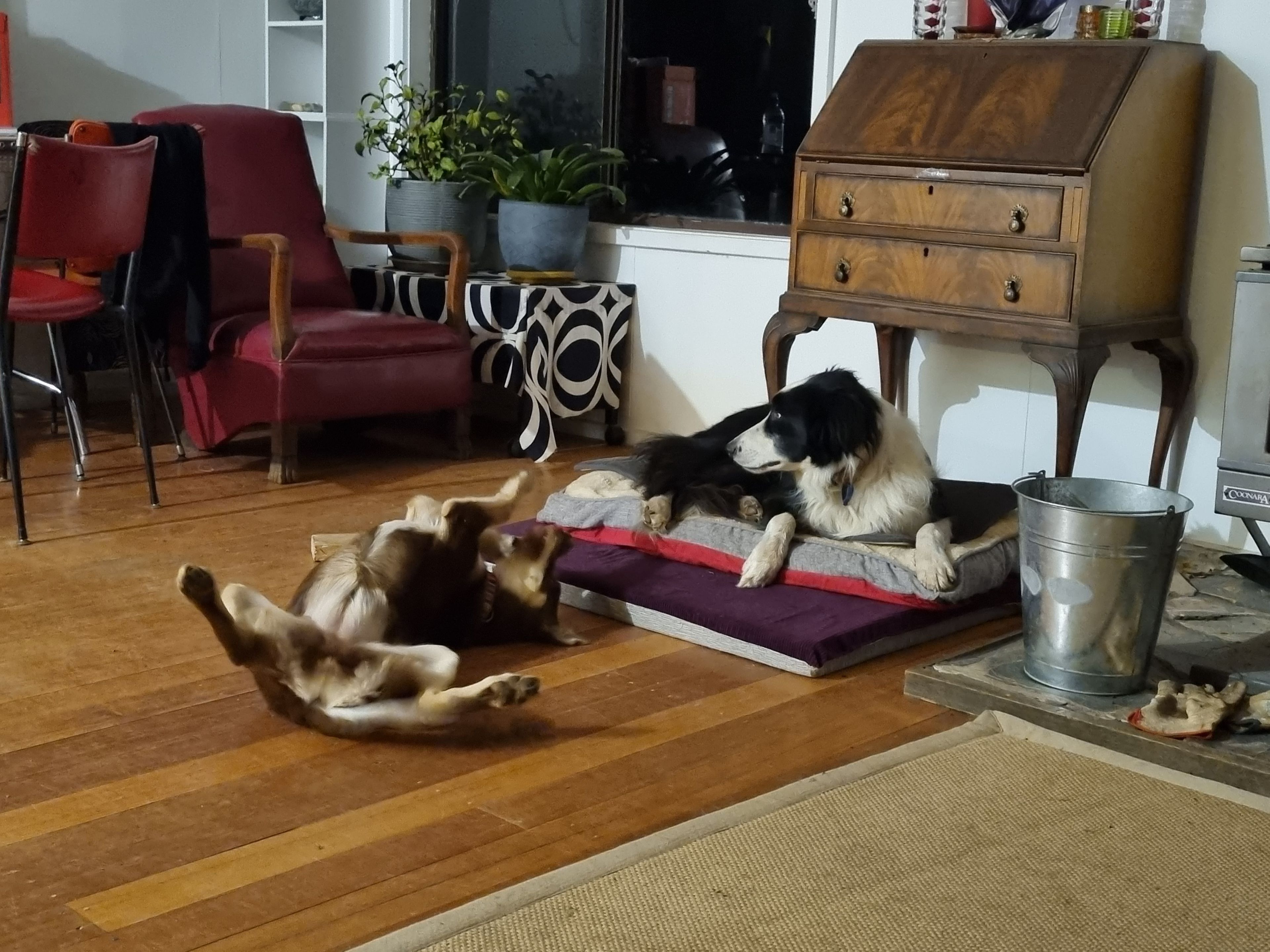 image-7