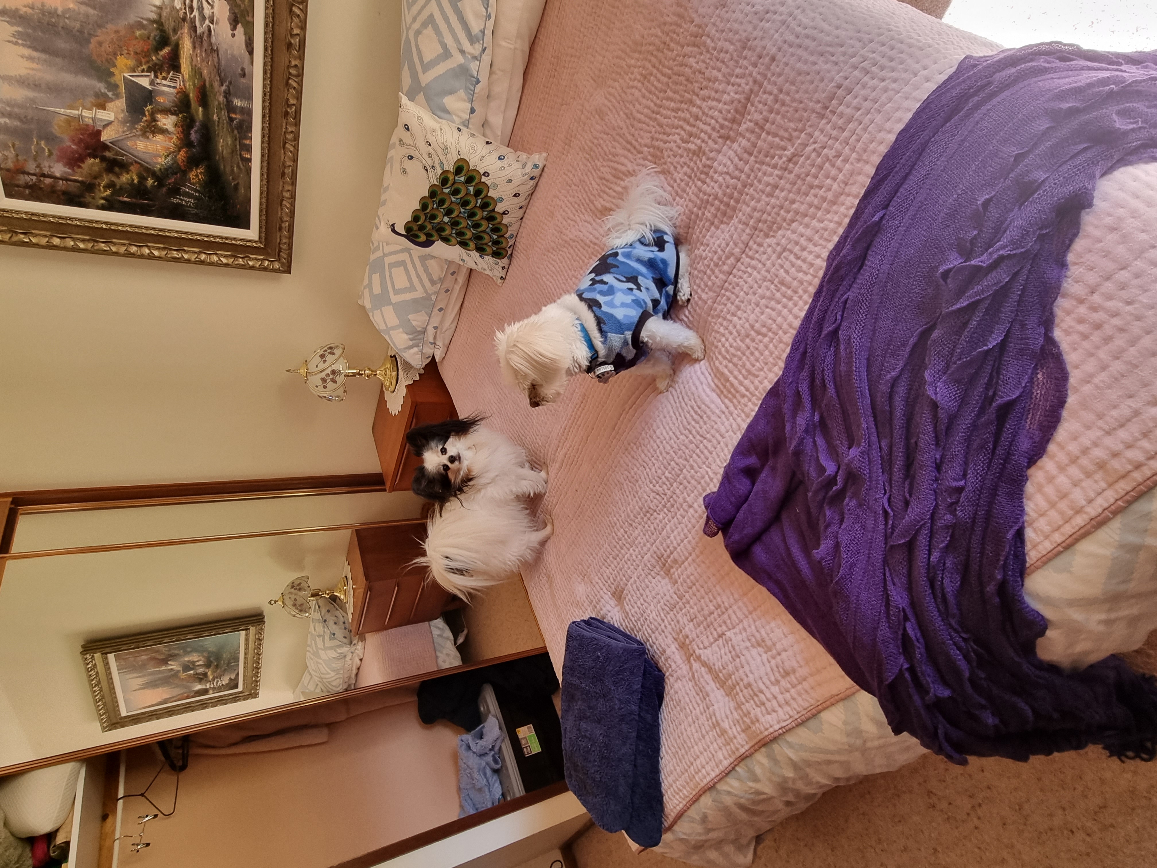 image-8