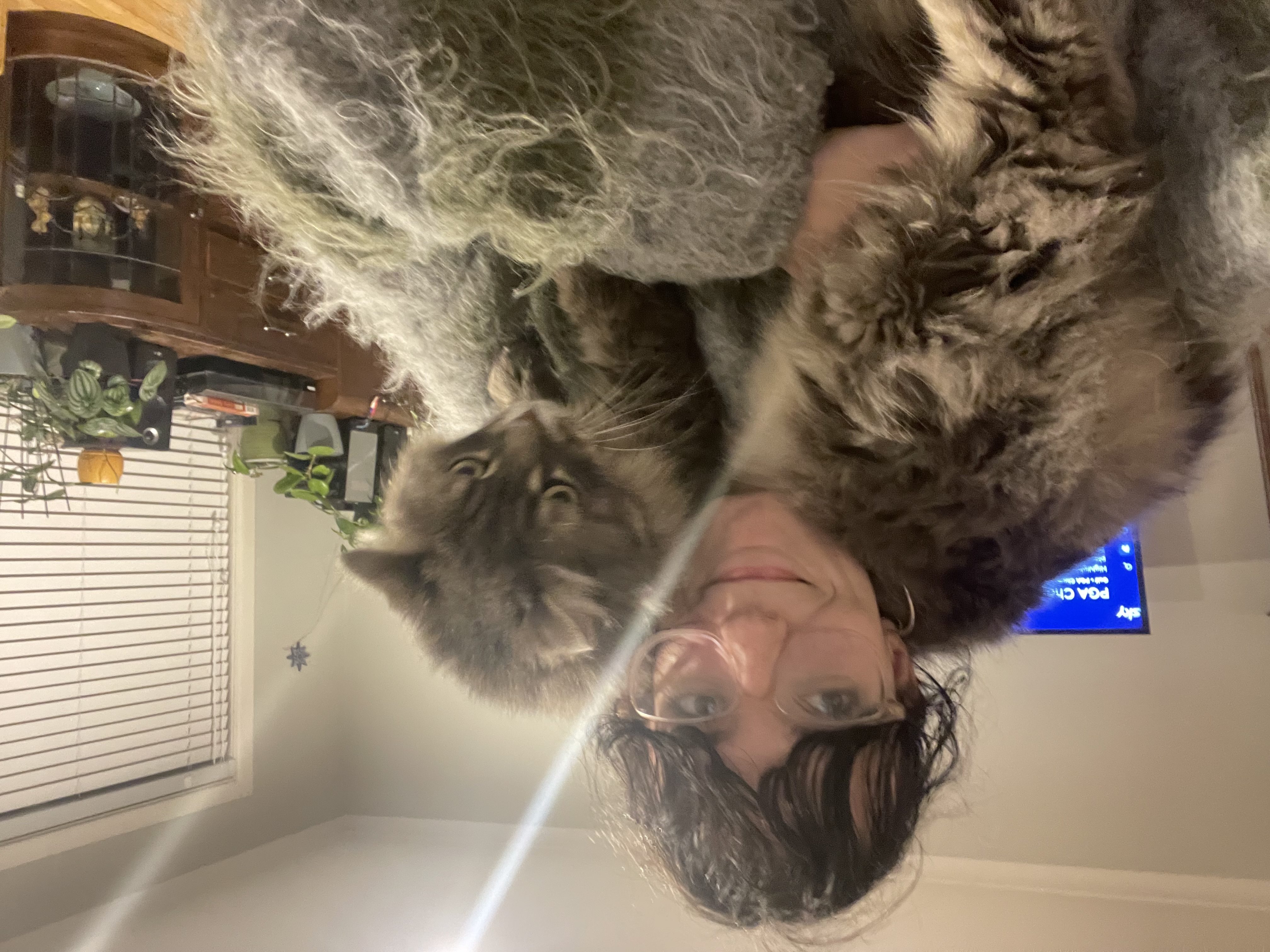 image-7