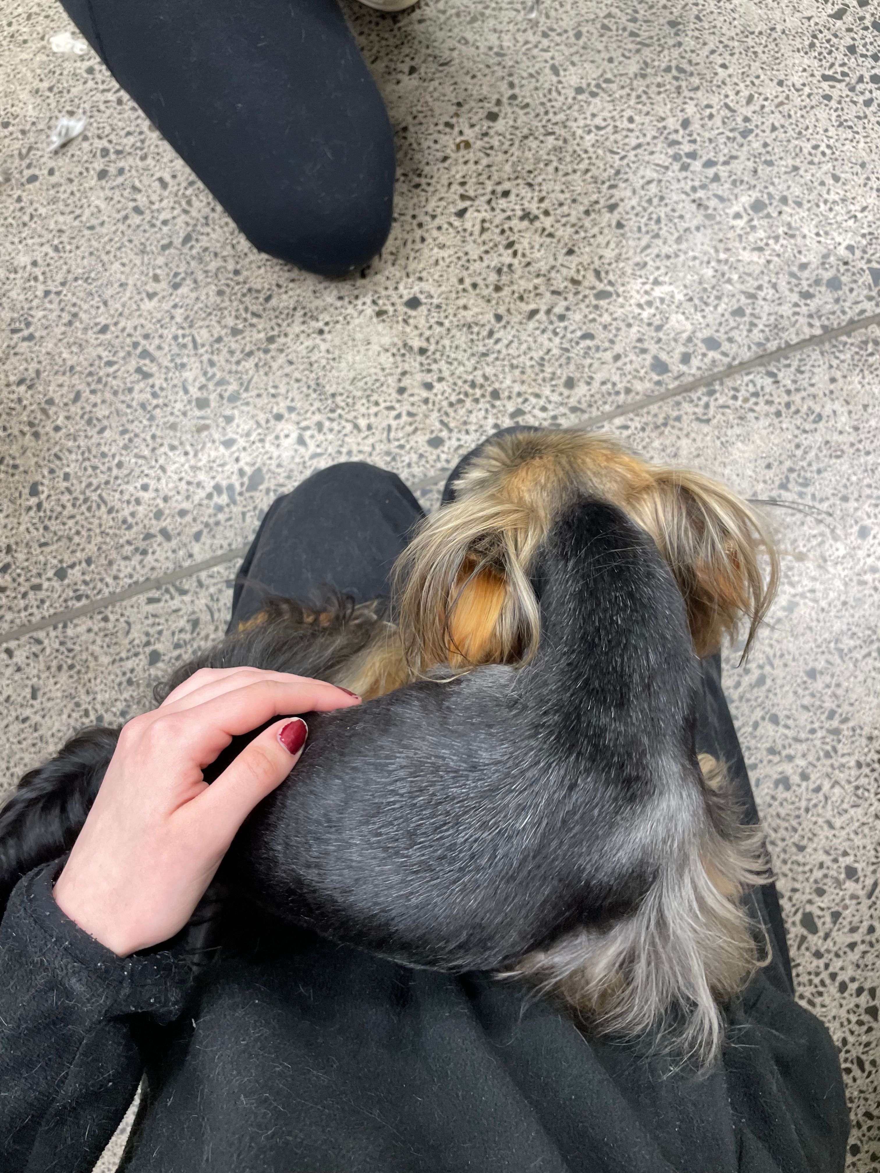 image-10