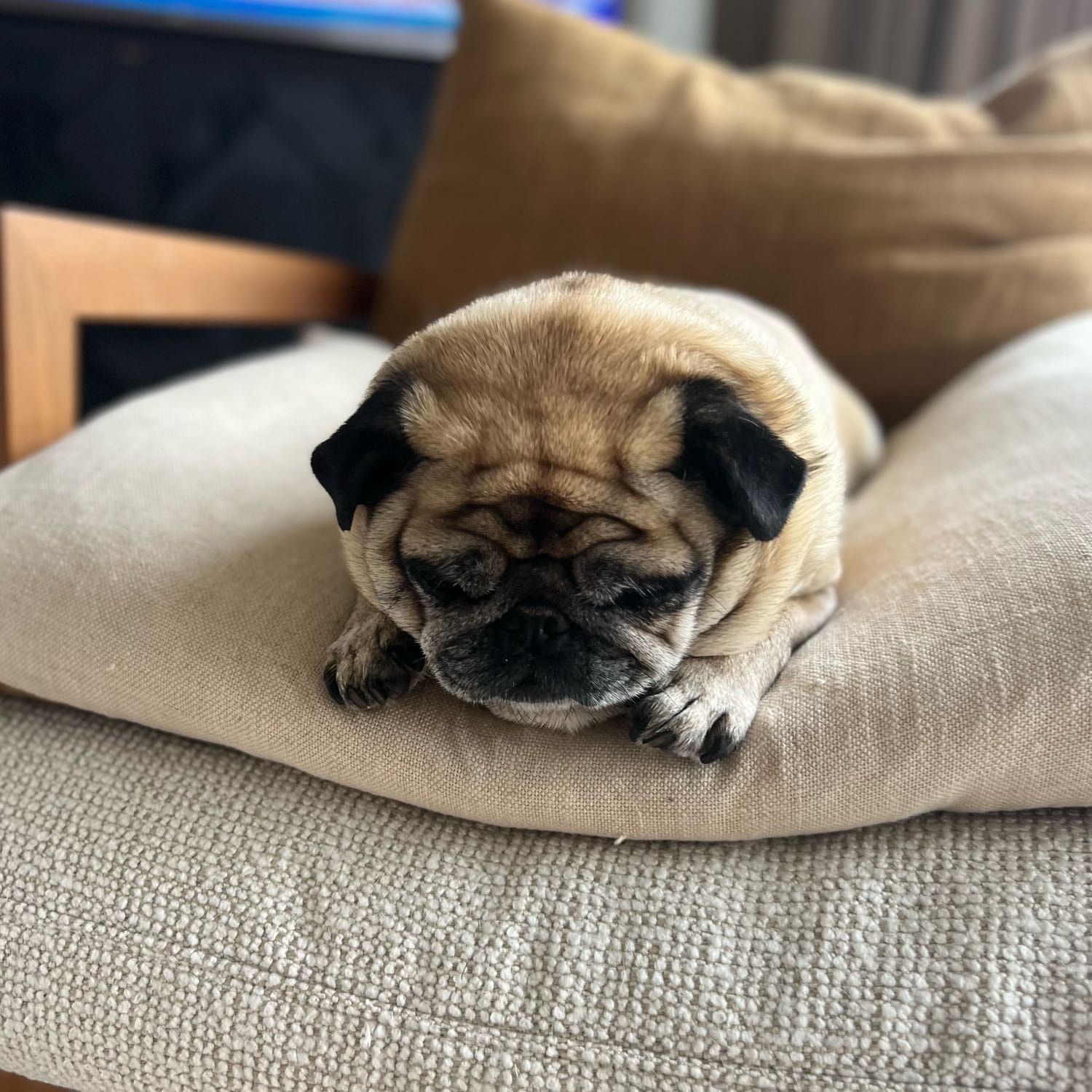 Nahla