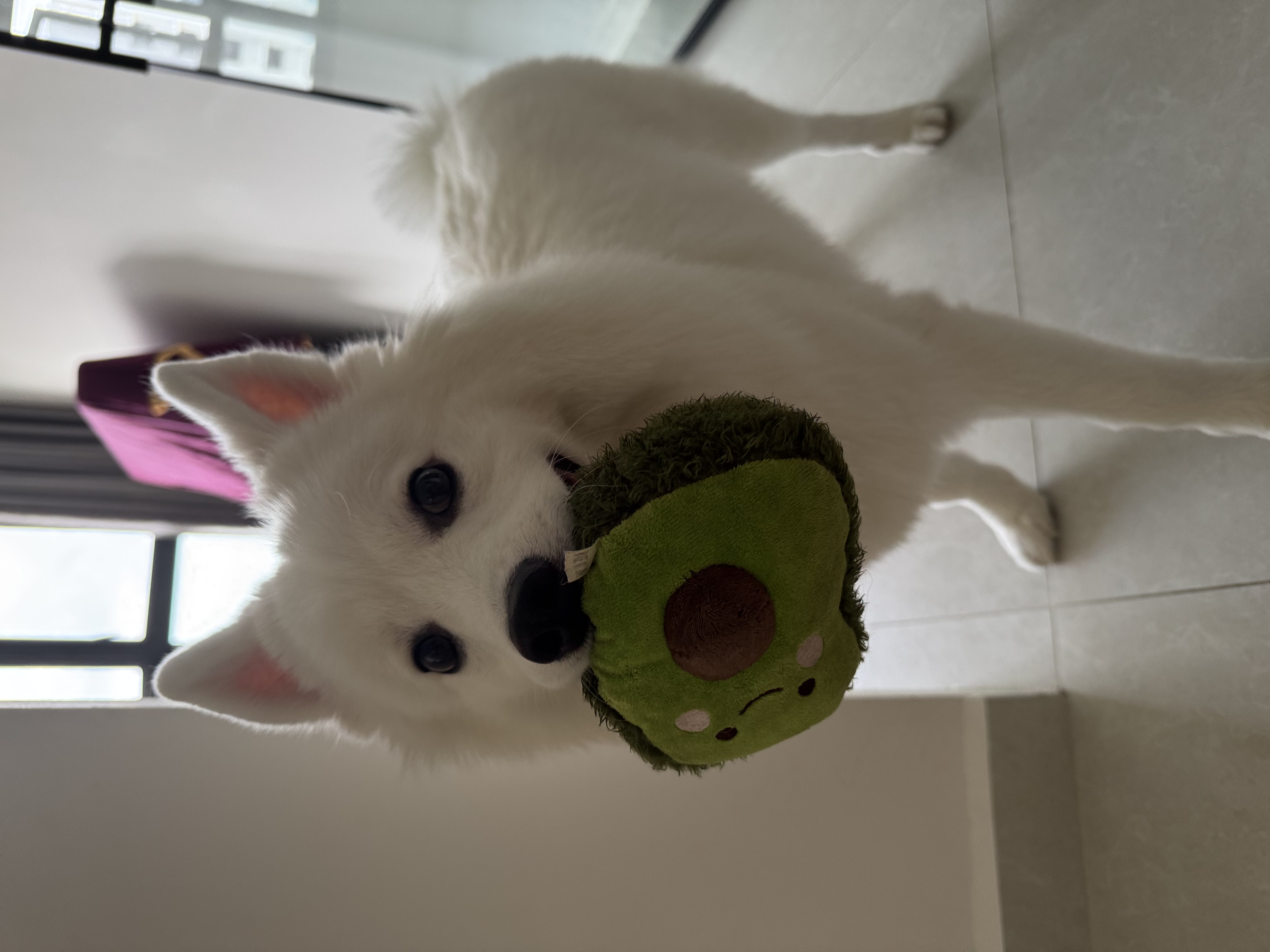 image-13