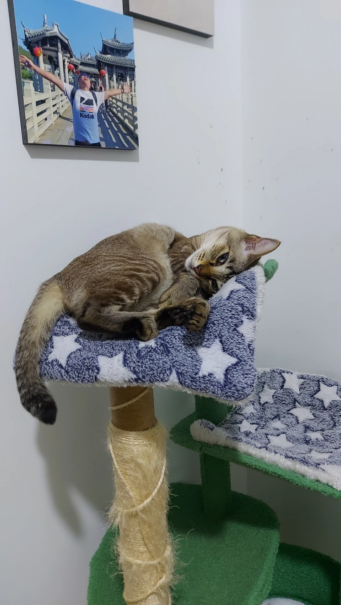 image-6
