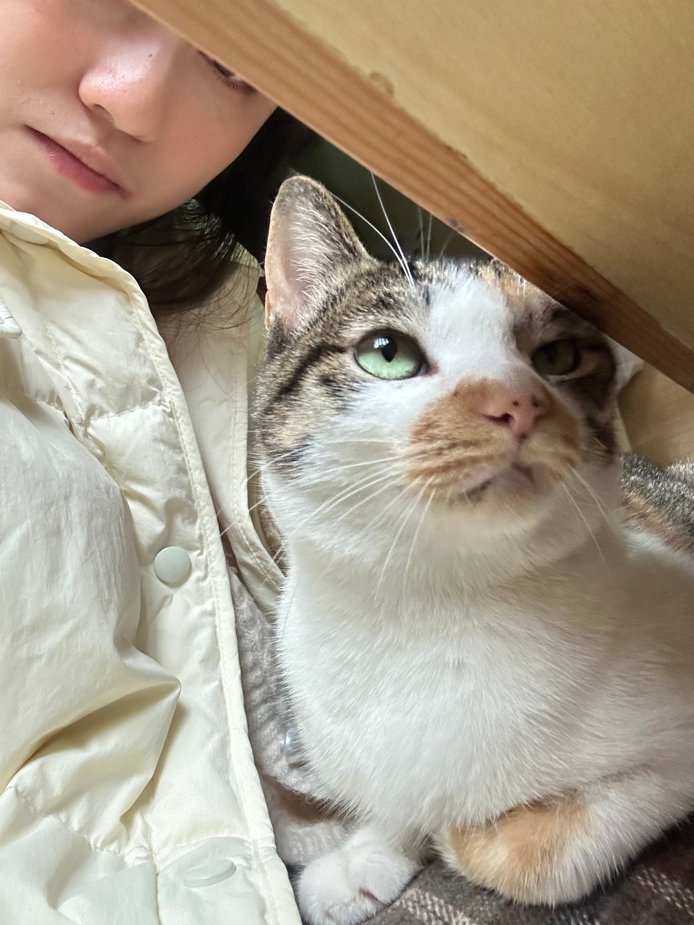 image-16