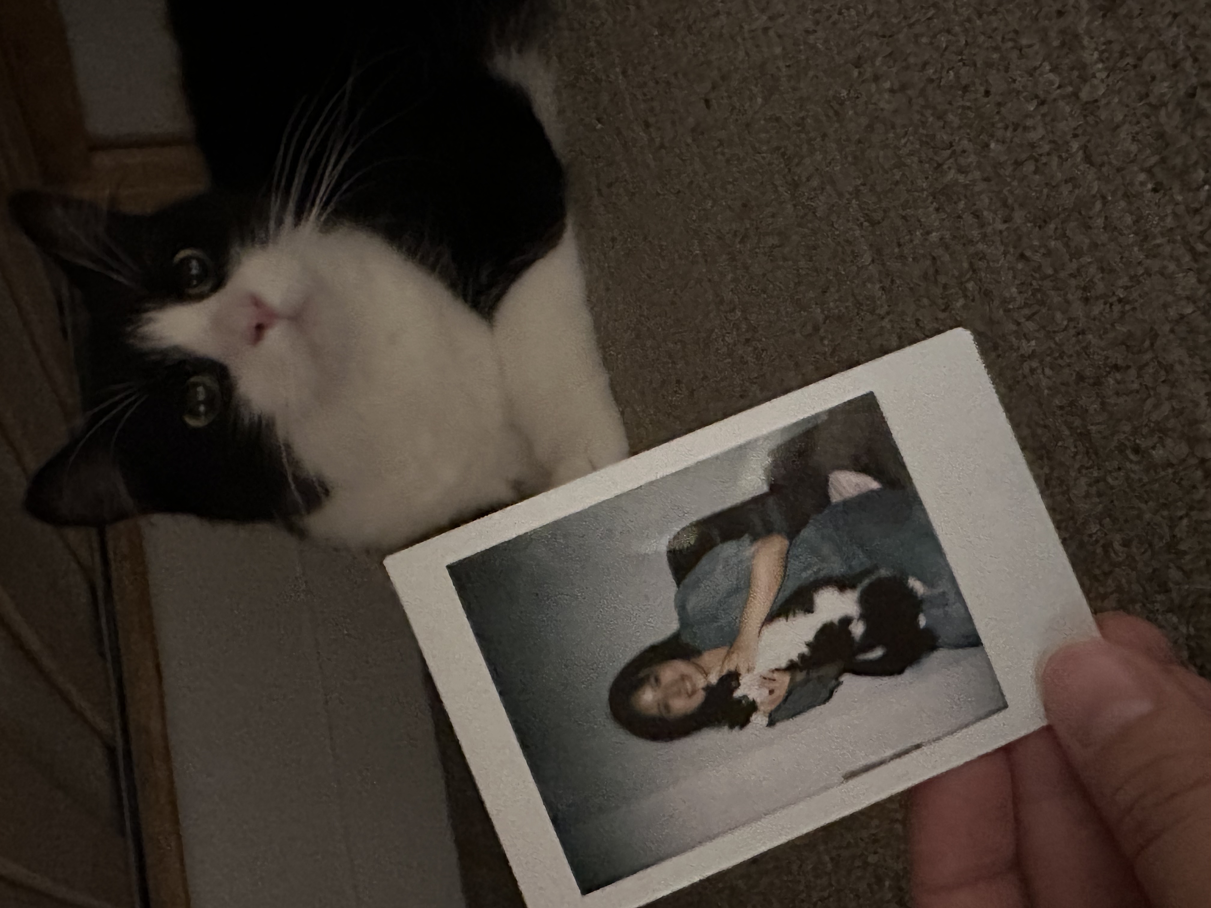 image-9