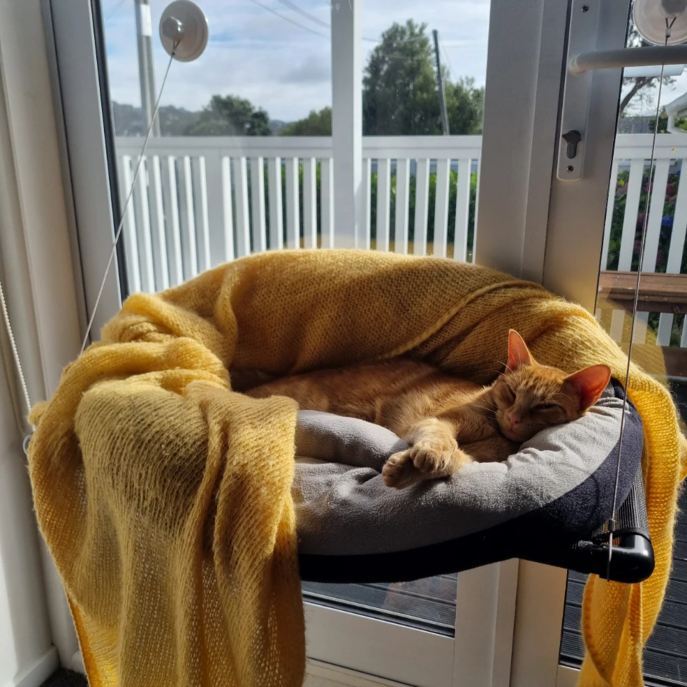 Nala