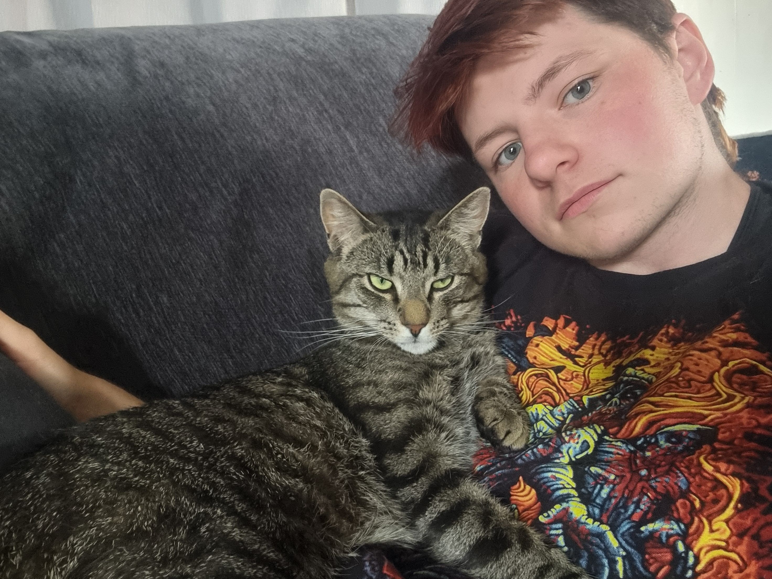 image-8