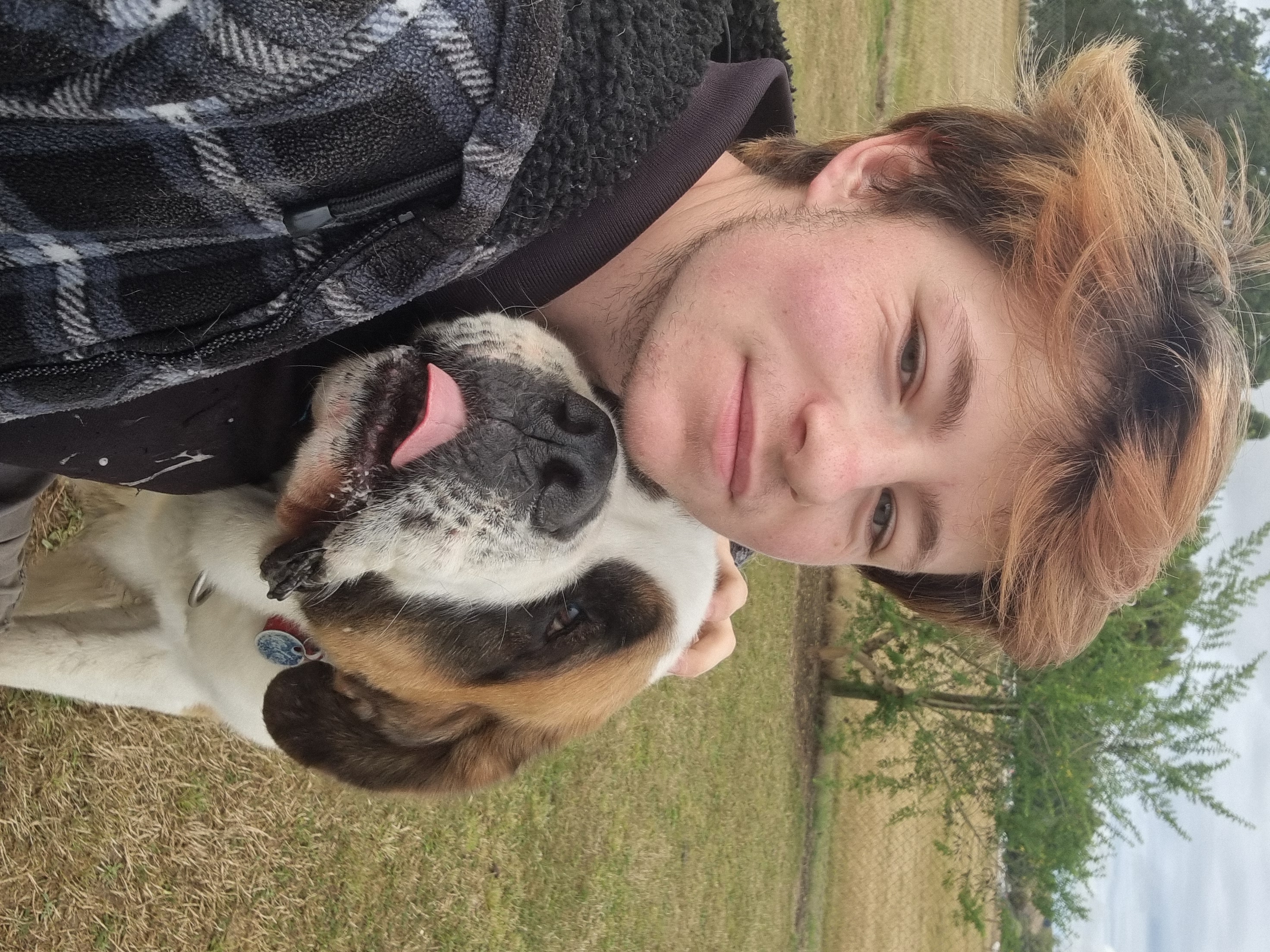 image-6