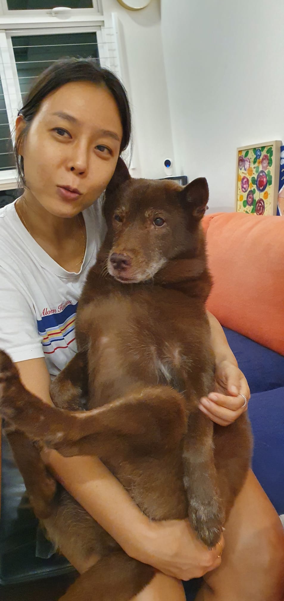 image-8